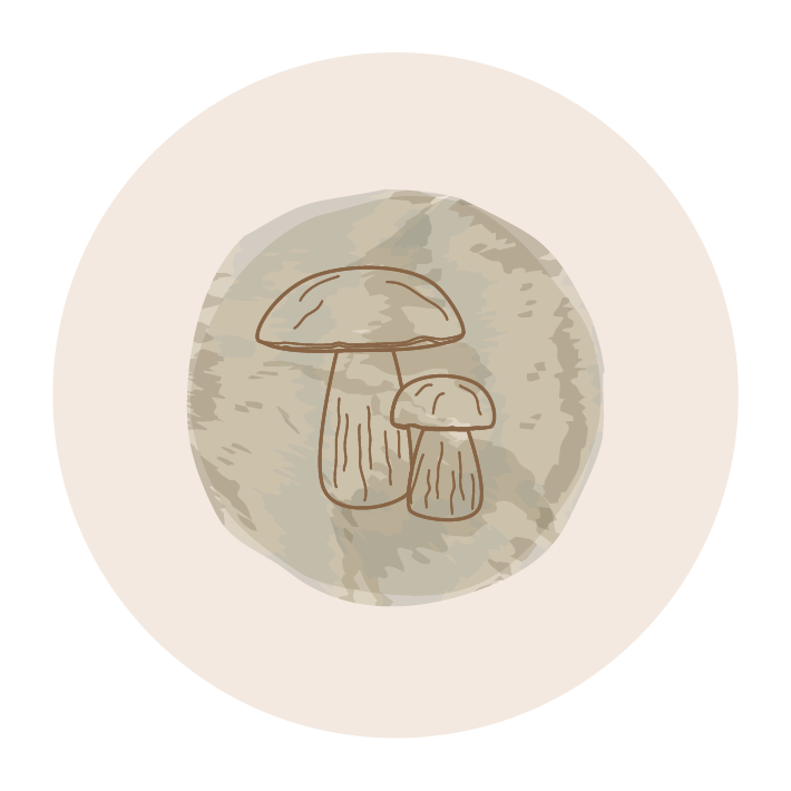 Icon - two mushrooms