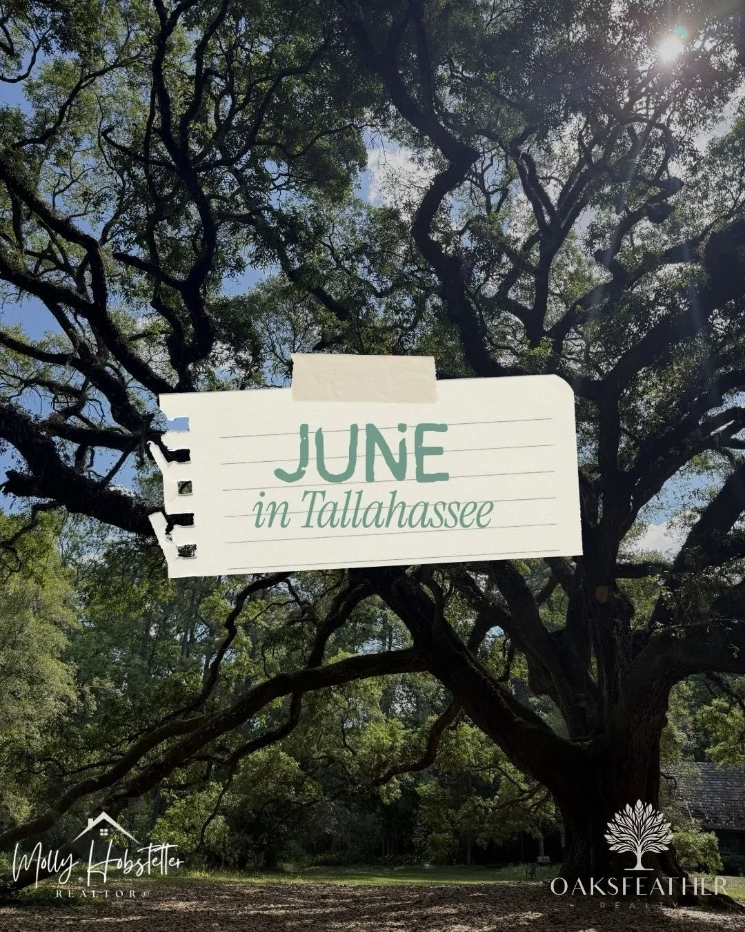 June is one of my favorite months because Tallahassee fully comes alive. The patios are packed, the calendar is loaded and the weekends are filling up fast. 

Here&rsquo;s to making memories, chasing goals, and enjoying the ride along the way!

I&rsq