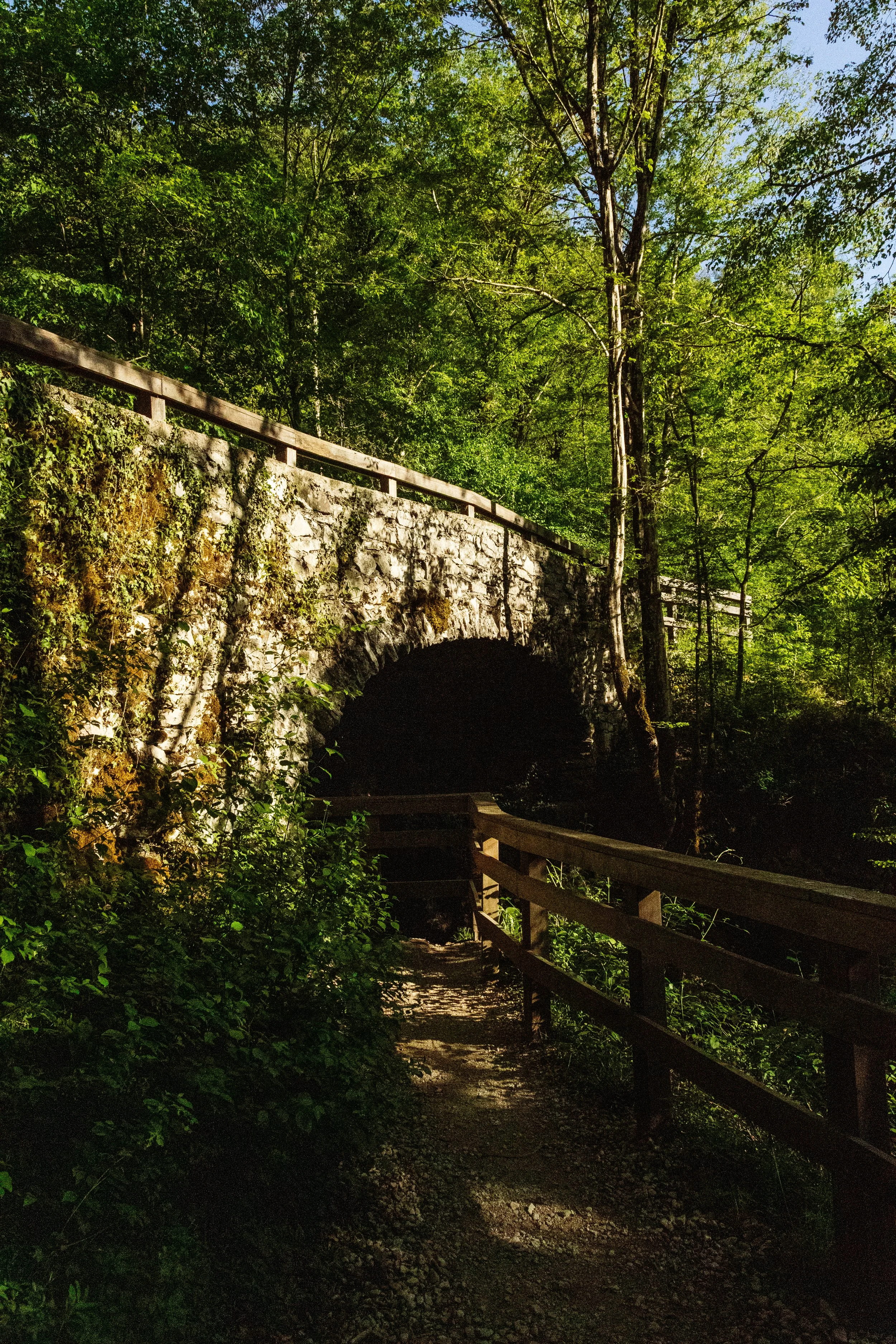 Ein Waldpfad mit Holzgeländer führt durch einen grünen Wald, mit einer Steinbrücke im Hintergrund. Es ist sonnig und die Baumkronen sind dicht.