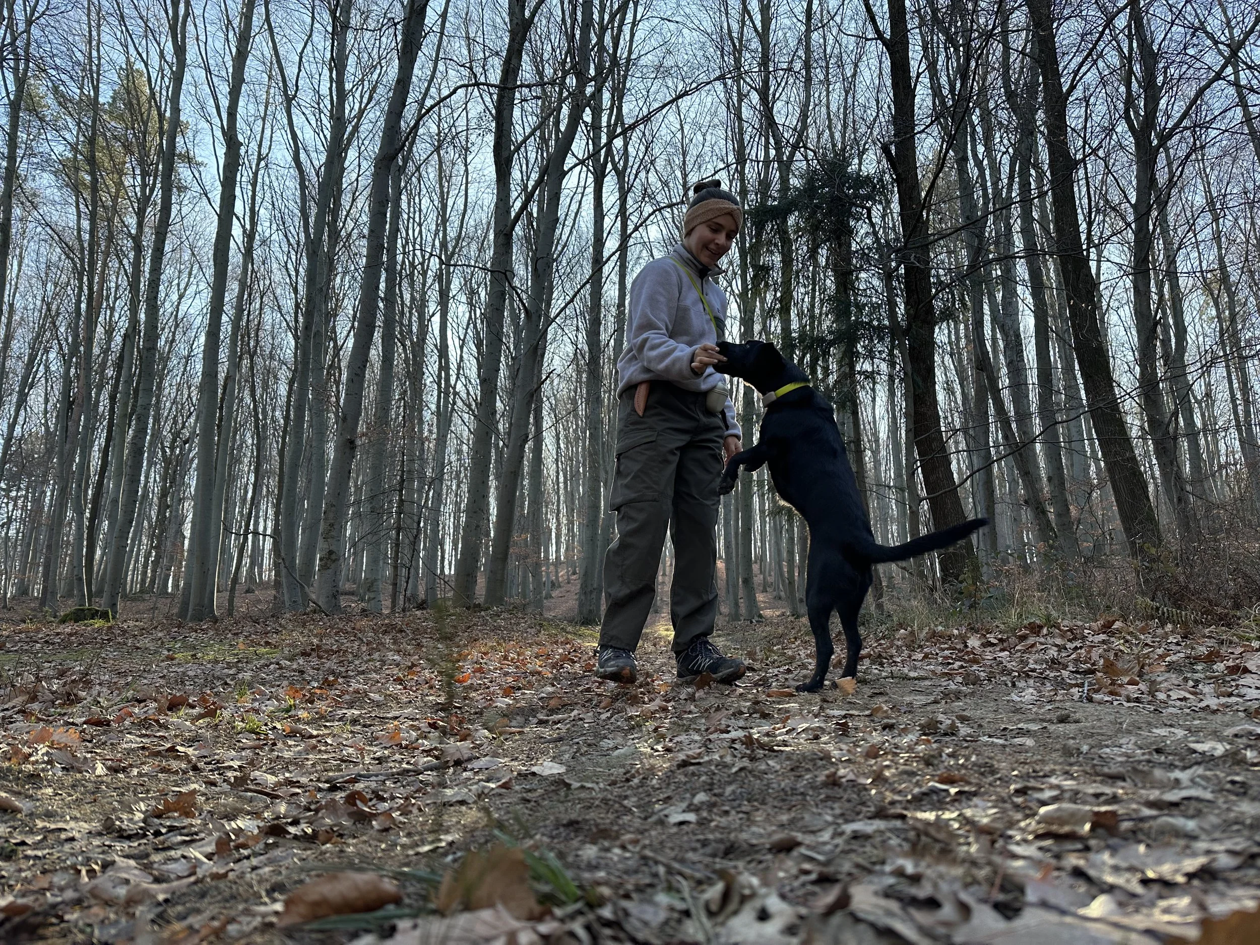 Frau mit Hund im Wald, Blätter auf dem Boden, Bäume ohne Laub, Himmel sichtbar.