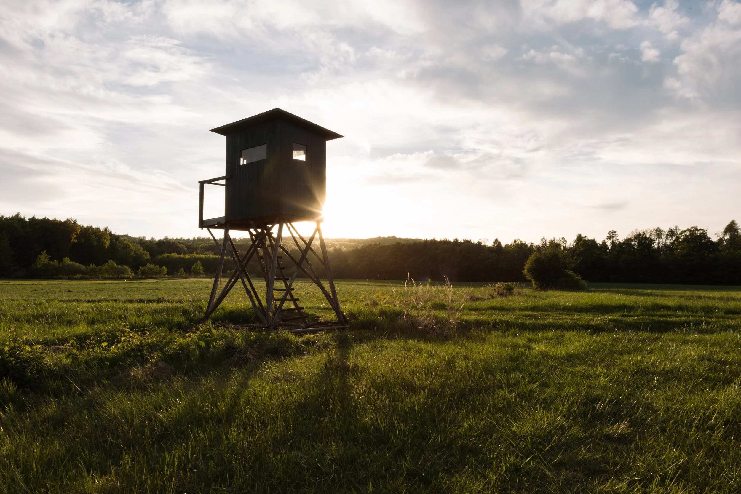Ein Aussichtsturm auf einer Wiese bei Sonnenuntergang, mit Bäumen im Hintergrund und einem bewölkten Himmel.