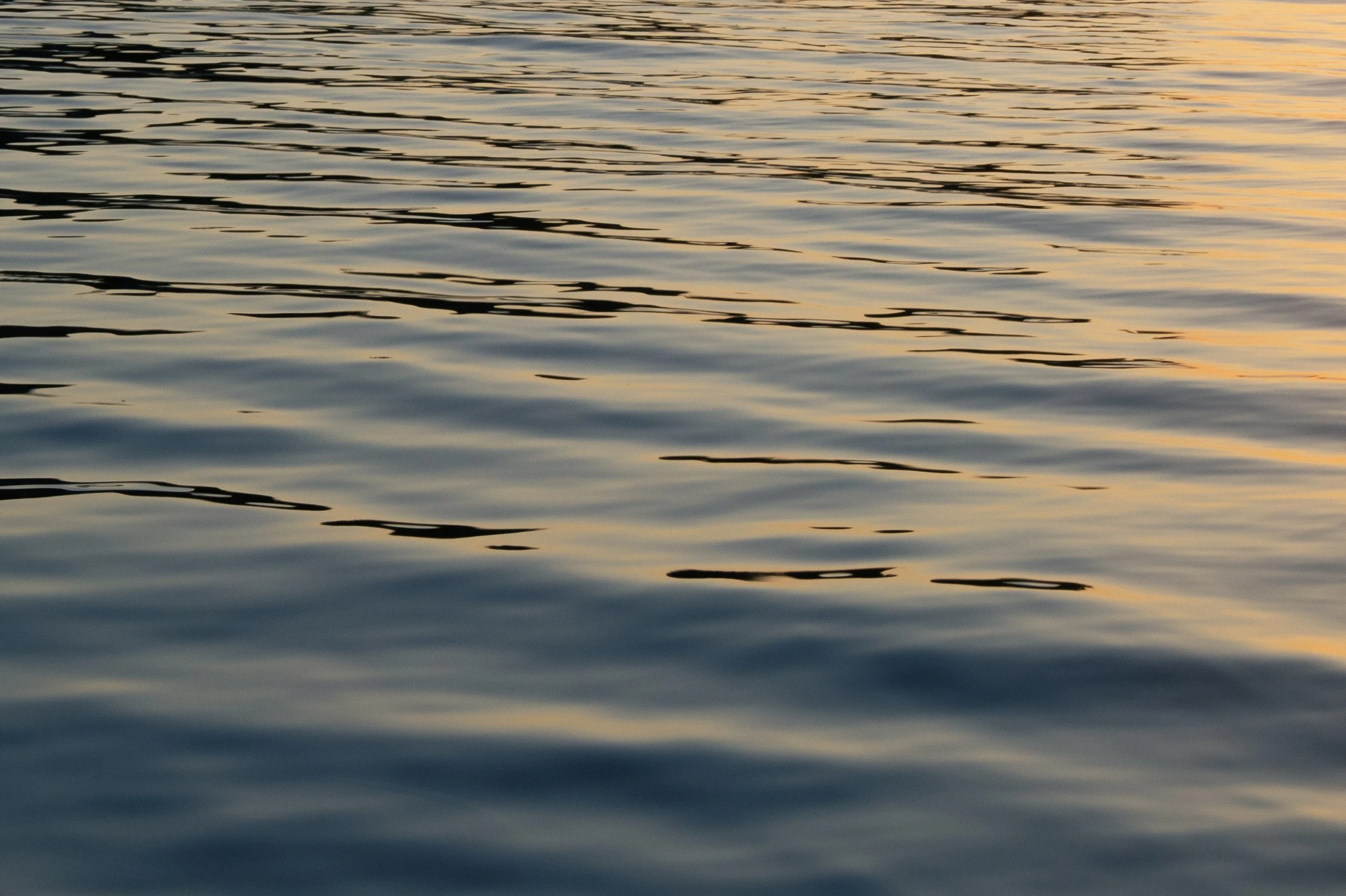 Das Bild zeigt Wasseroberfläche während des Sonnenuntergangs, mit sanften Wellen und goldenen Reflexionen.