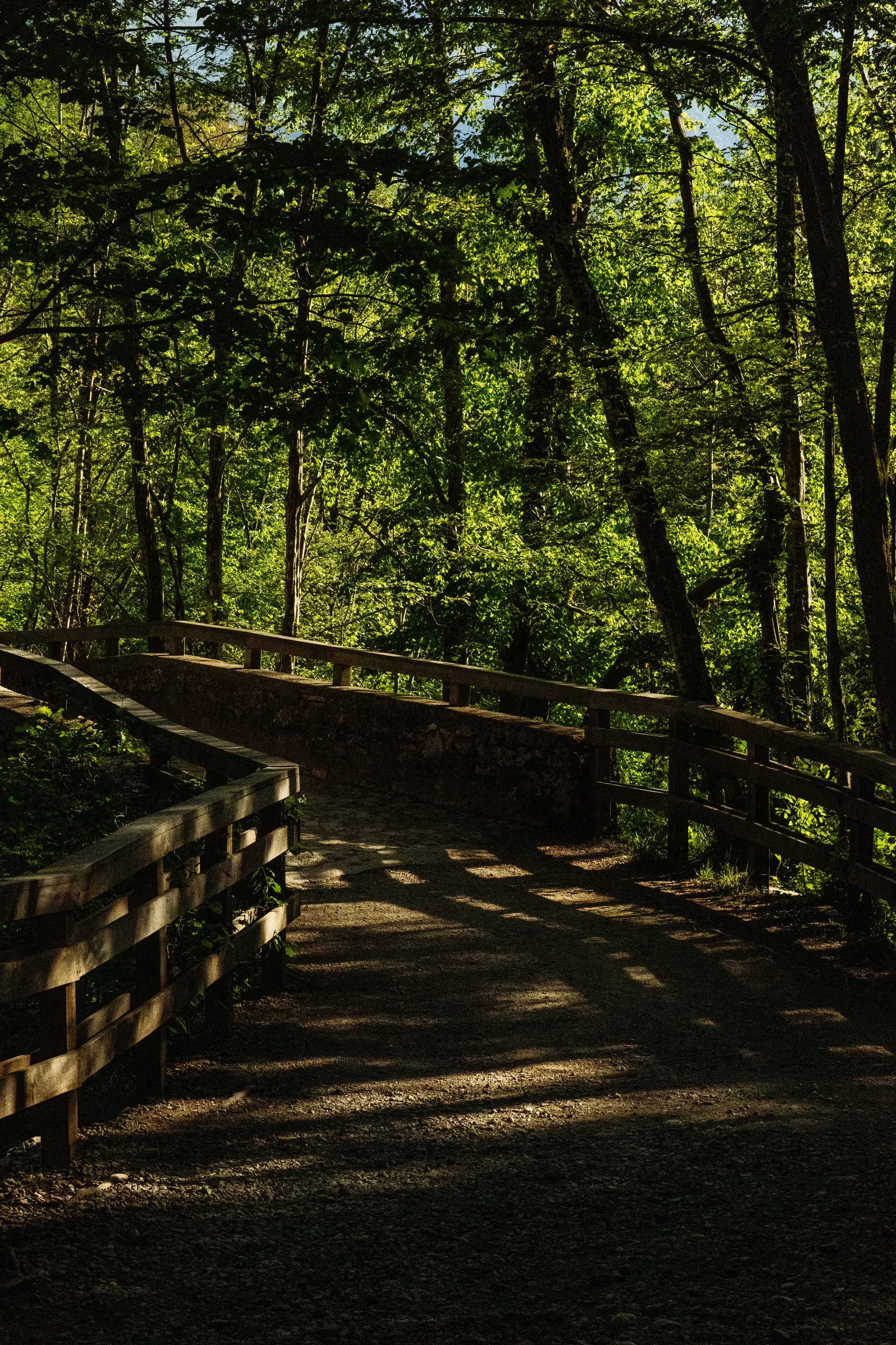 Ein schattiger Wanderweg durch einen dichten, grünen Wald mit Sonnenlicht, das durch die Blätter scheint, und einem Holzzaun entlang des Pfades.