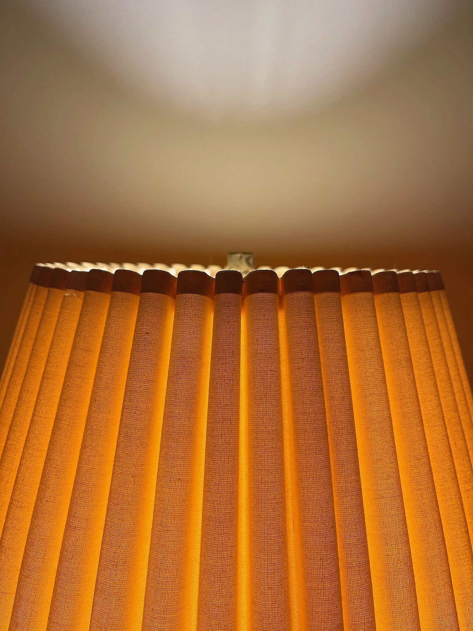 IMG_2939.jpeg