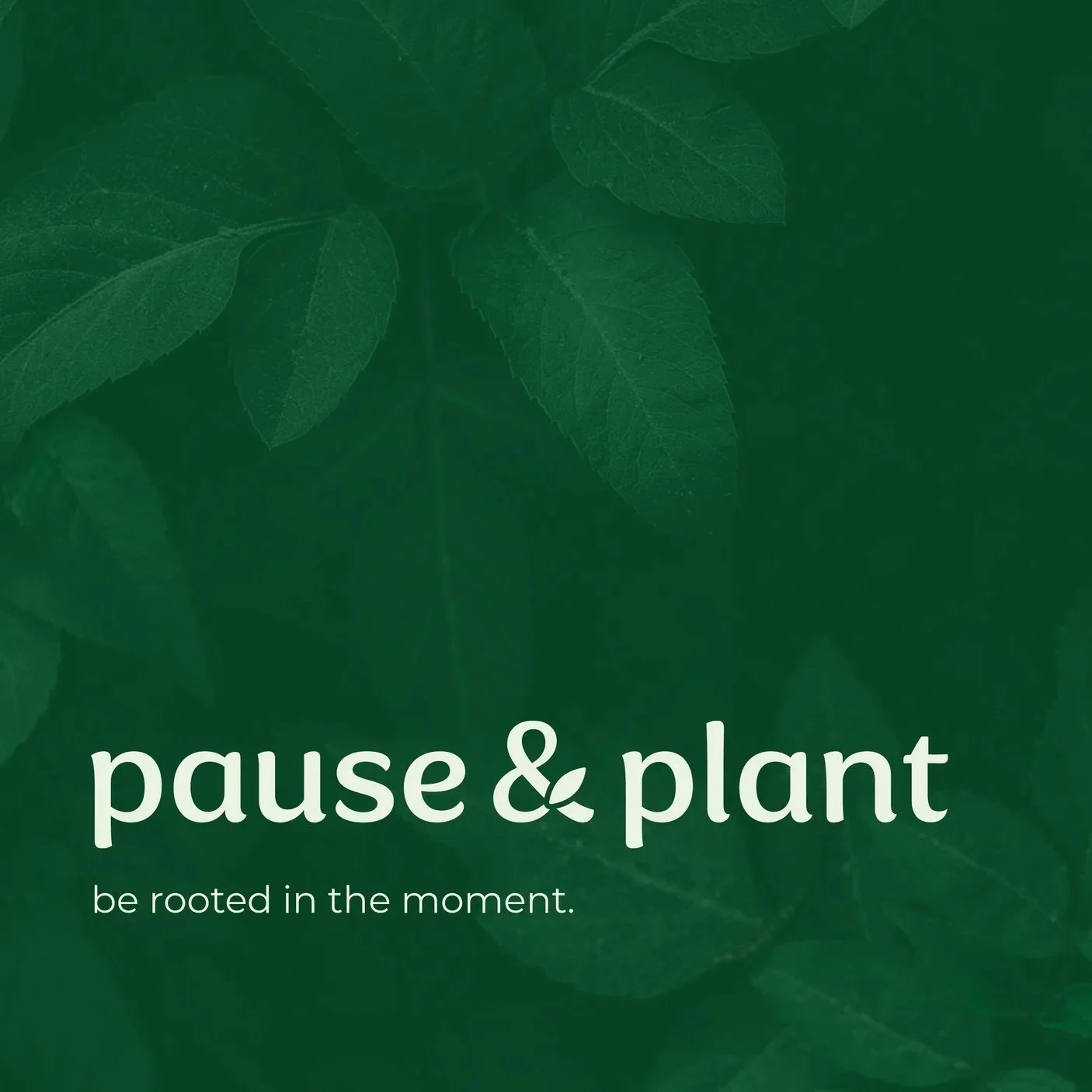 Pause & Plant