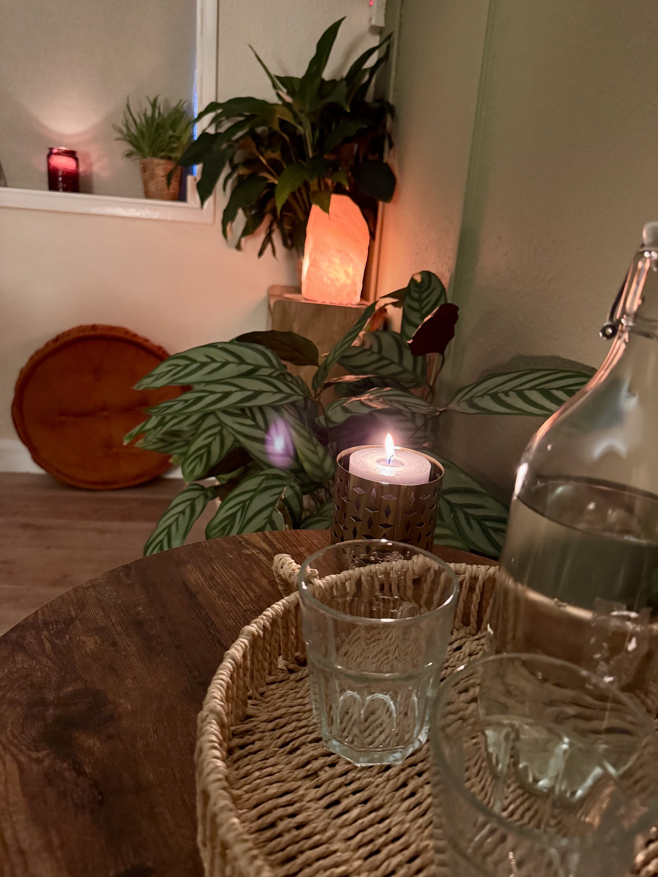 A cozy indoor scene with a lit candle on a table, a glass and a carafe of water, and several potted plants in the background, illuminated with warm lighting.