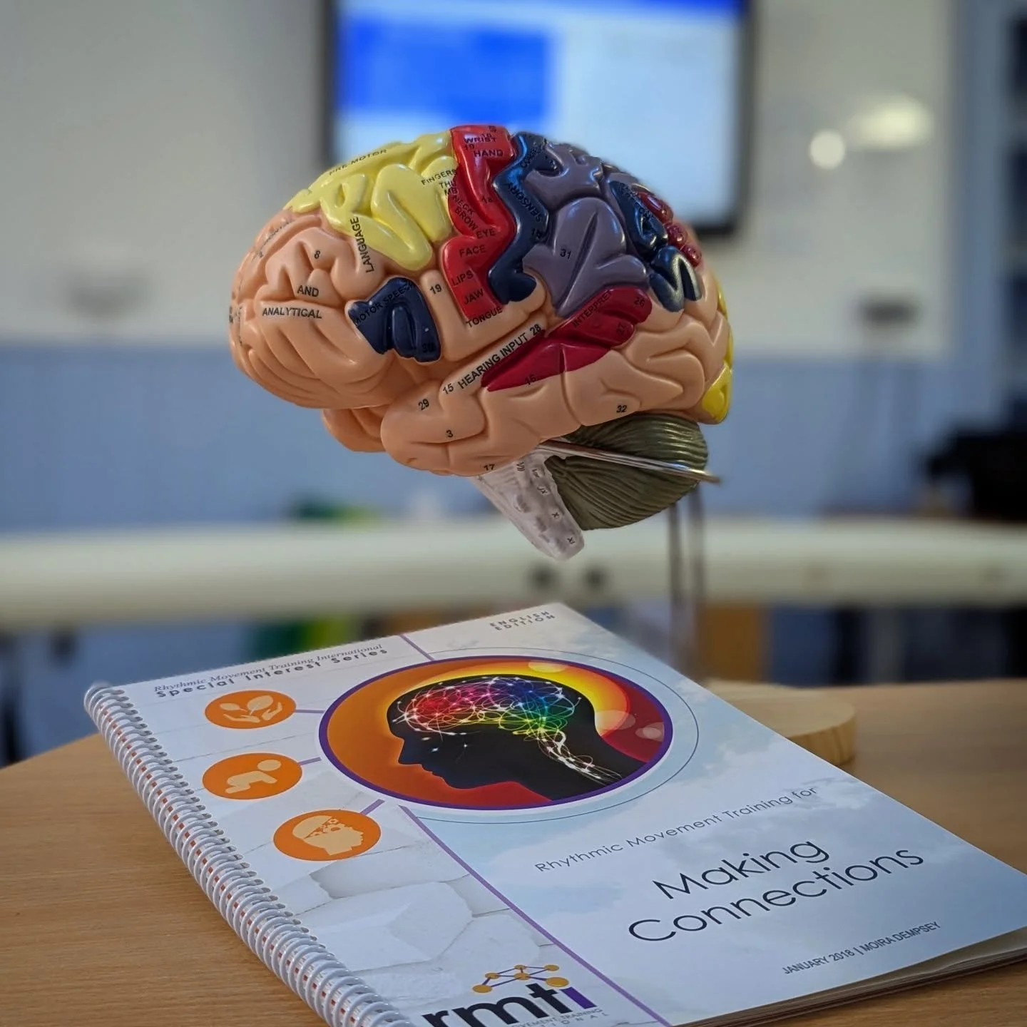 Another great weekend of learning from @kate.brain.body.boost about primitive reflexes in sunny Slaithwaite! 🧠

Primitive reflexes are fundamental to child development and lay the groundwork for all of the higher cognitive processes we need as we gr