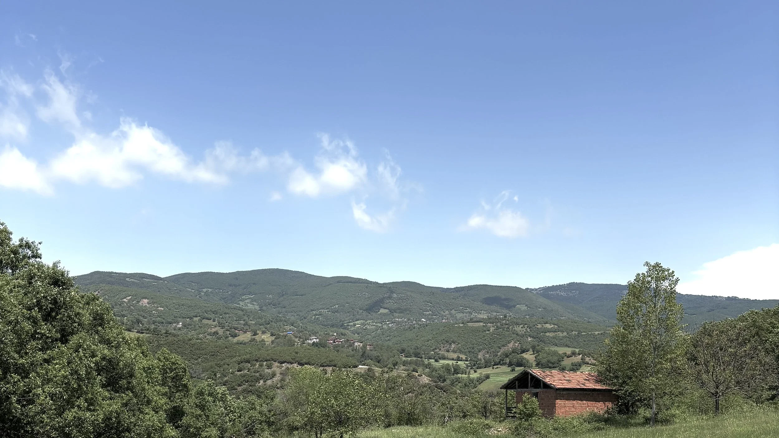 image00001.jpeg