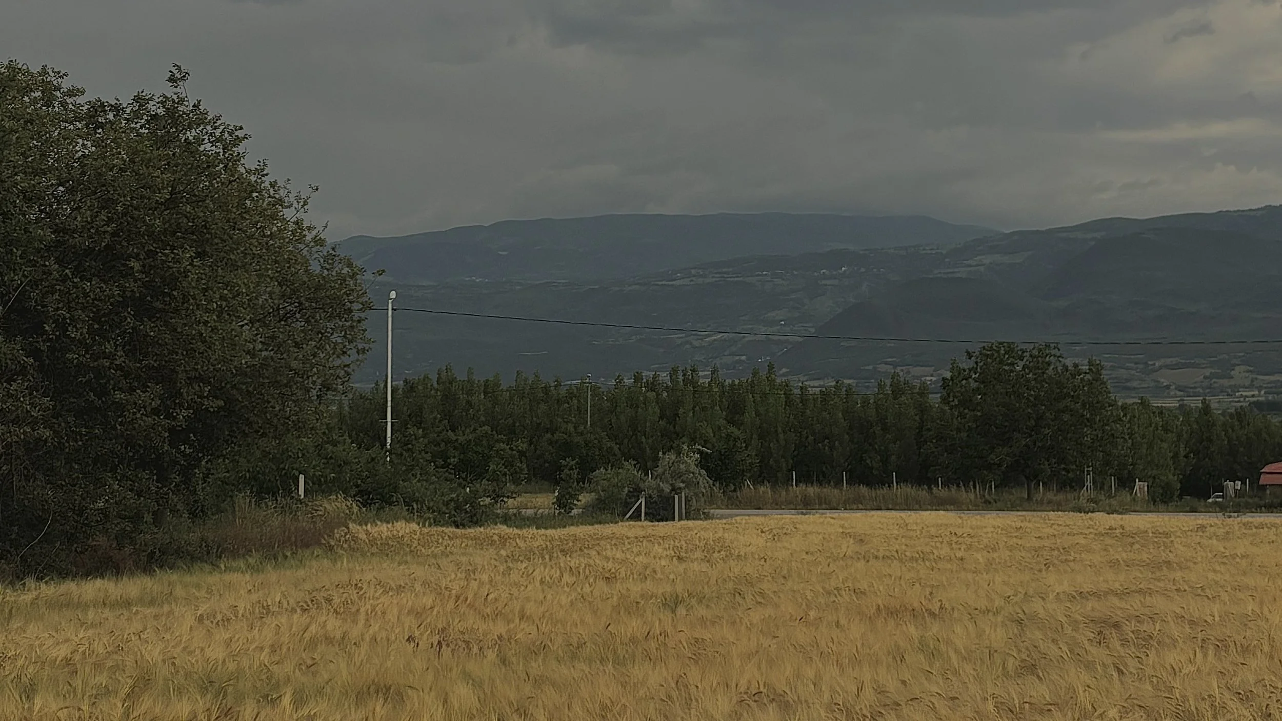 image00001.jpeg