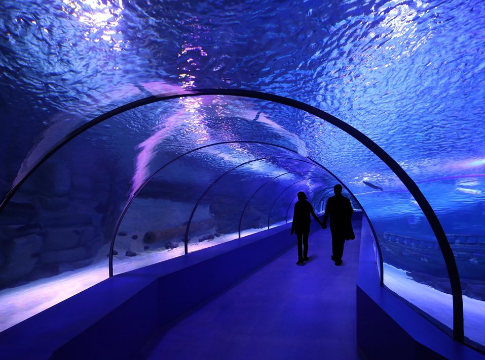 Sea Life Centre London Aquarium