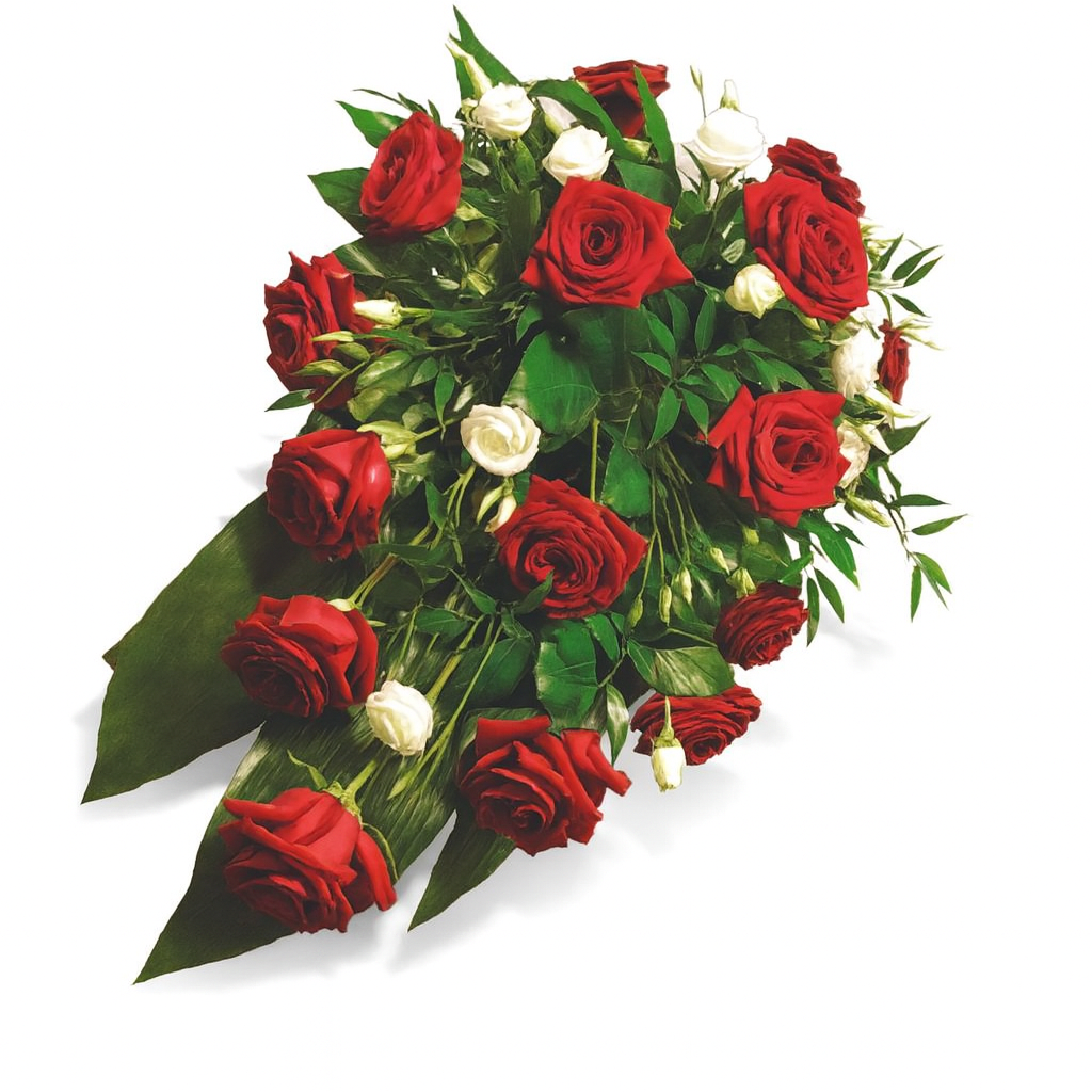 Surukukka 6, 150€