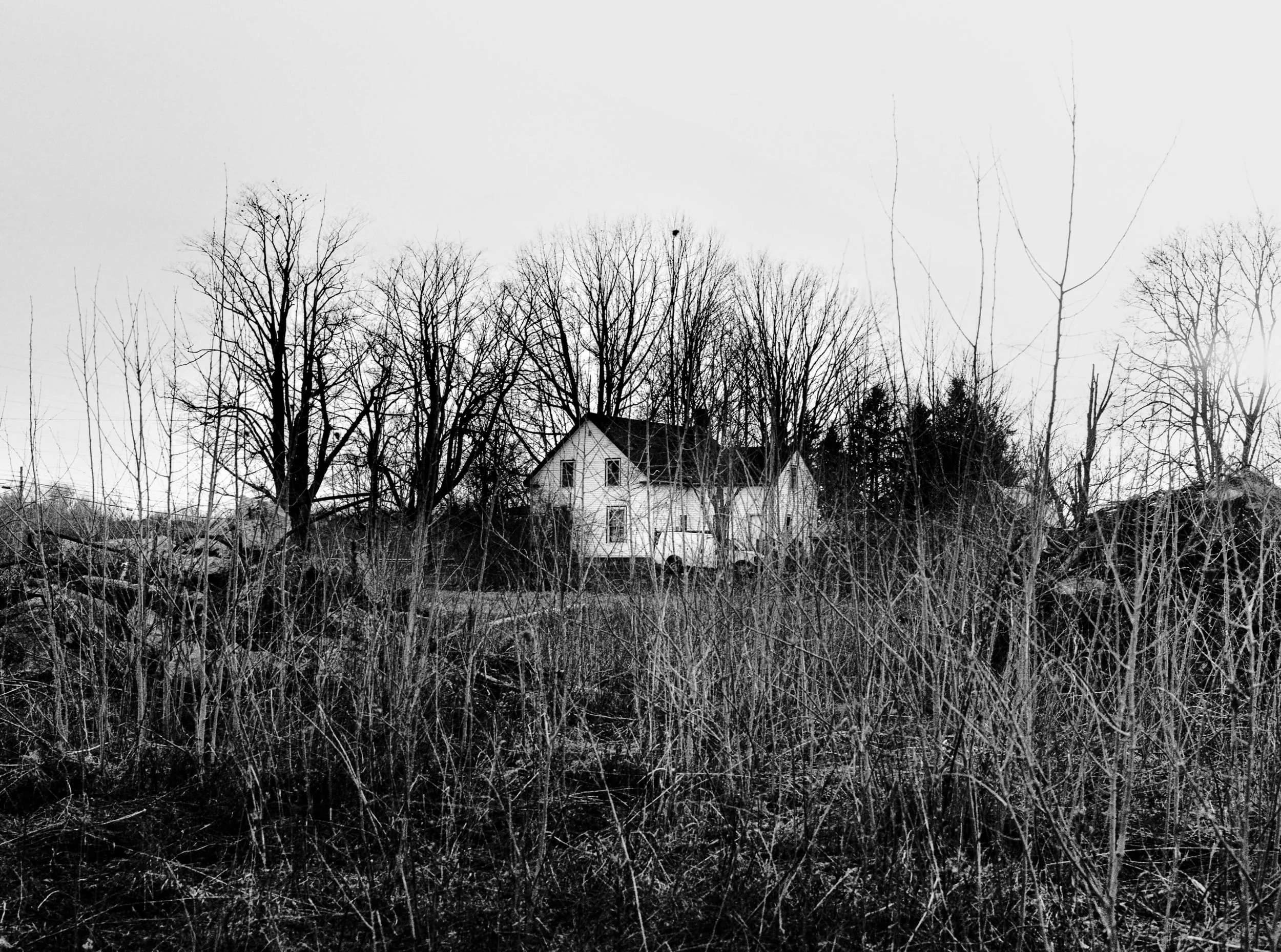 windsorhouse.jpg