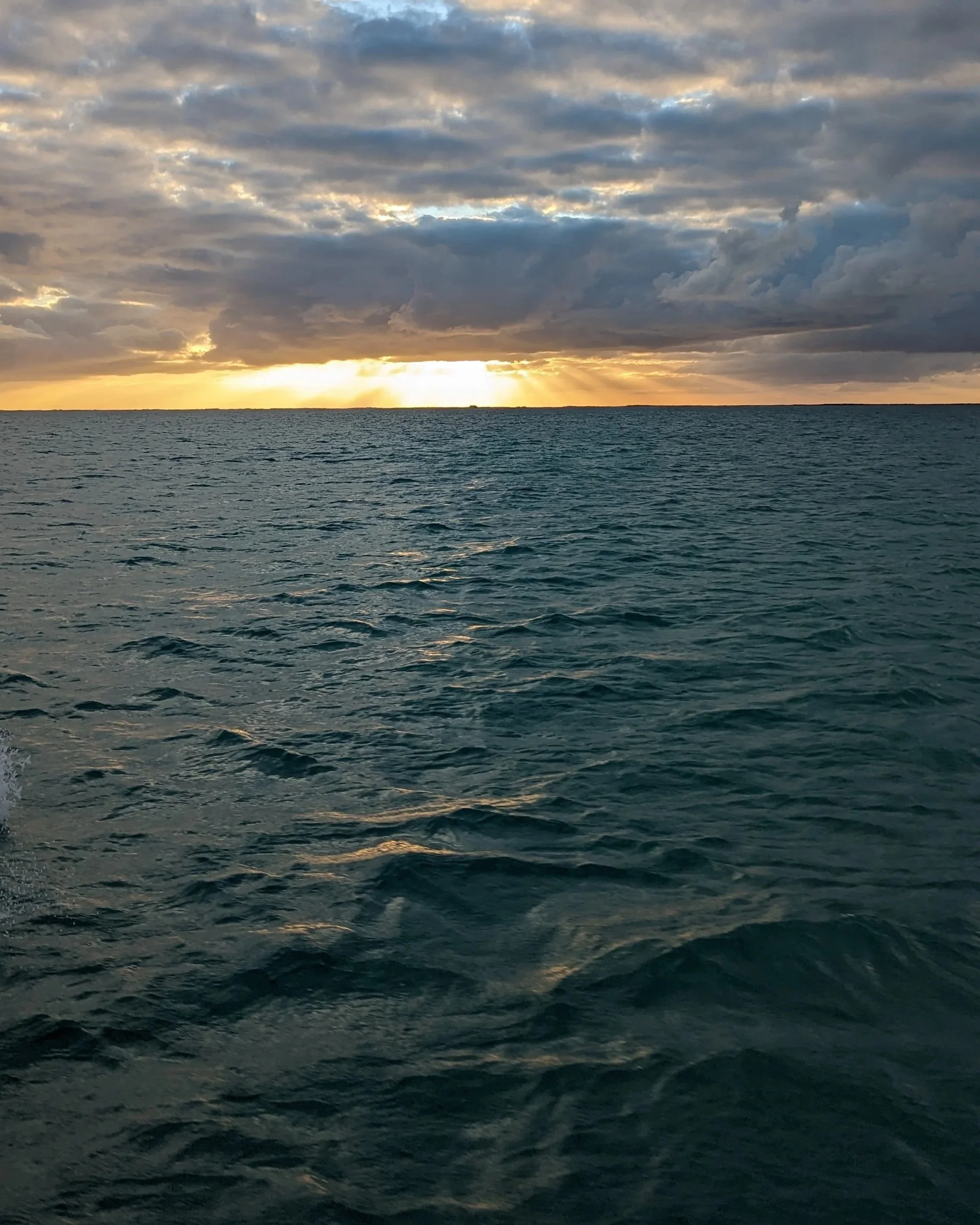 PXL_20230115_231524868.jpg