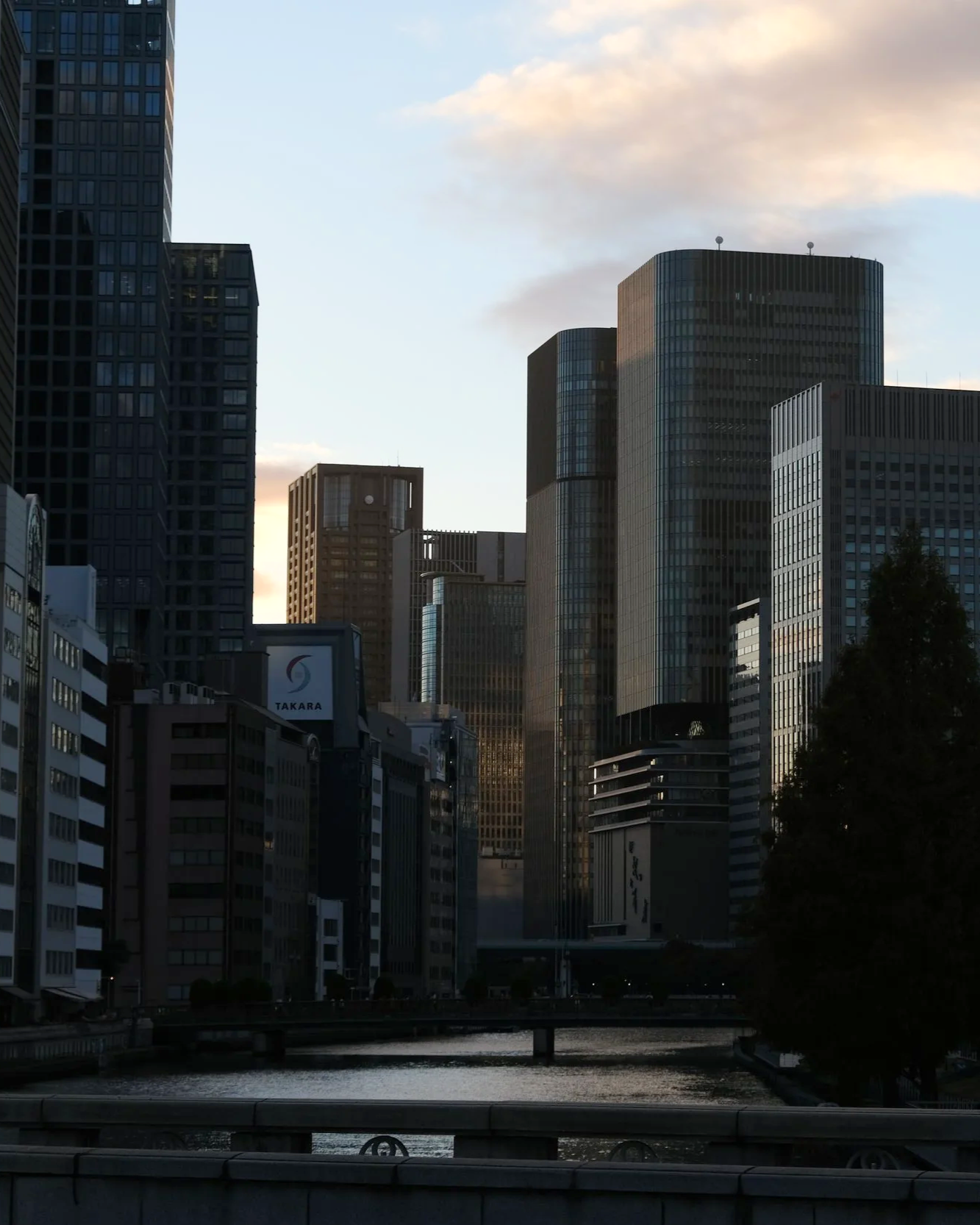 DSCF0546.png