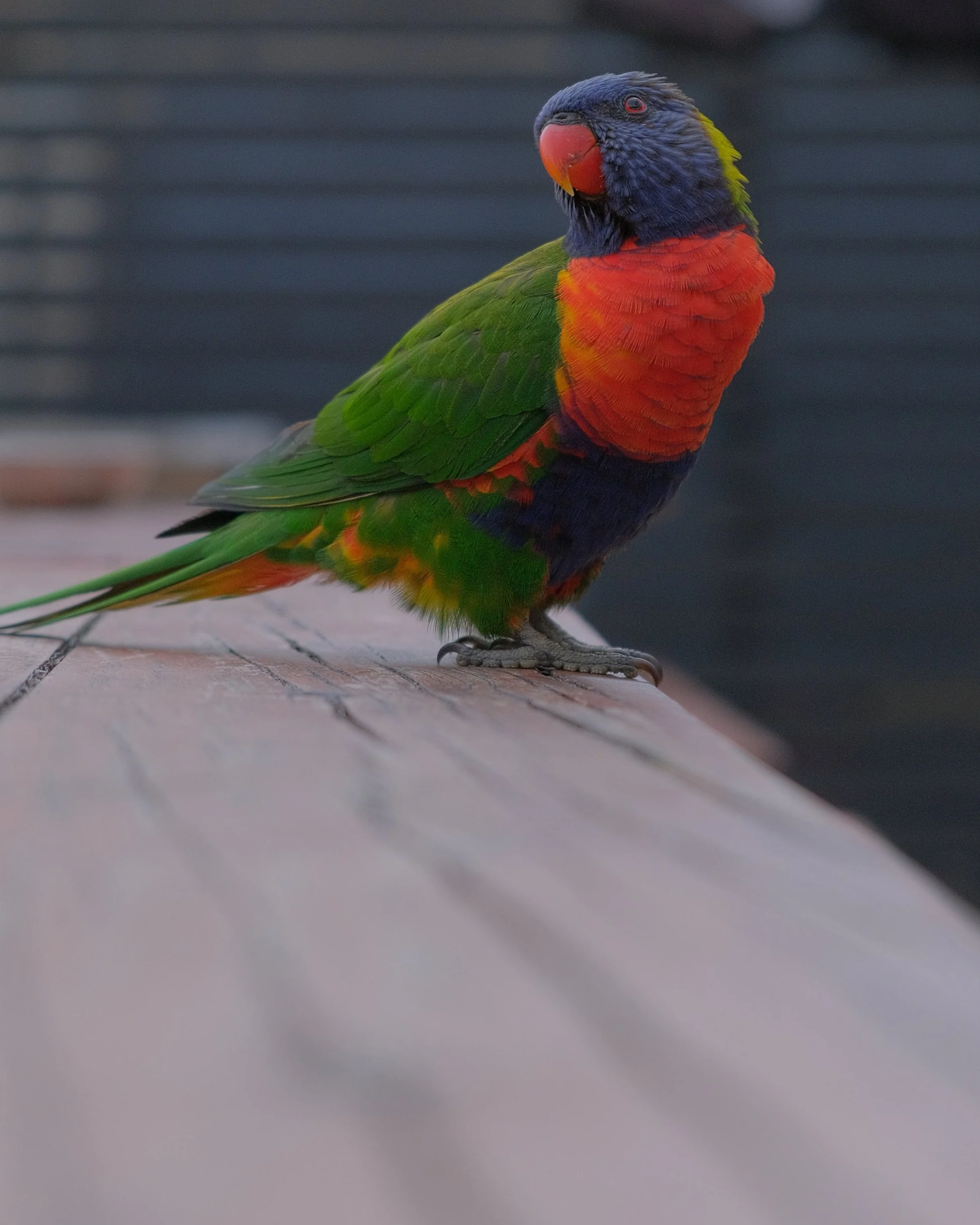 Color