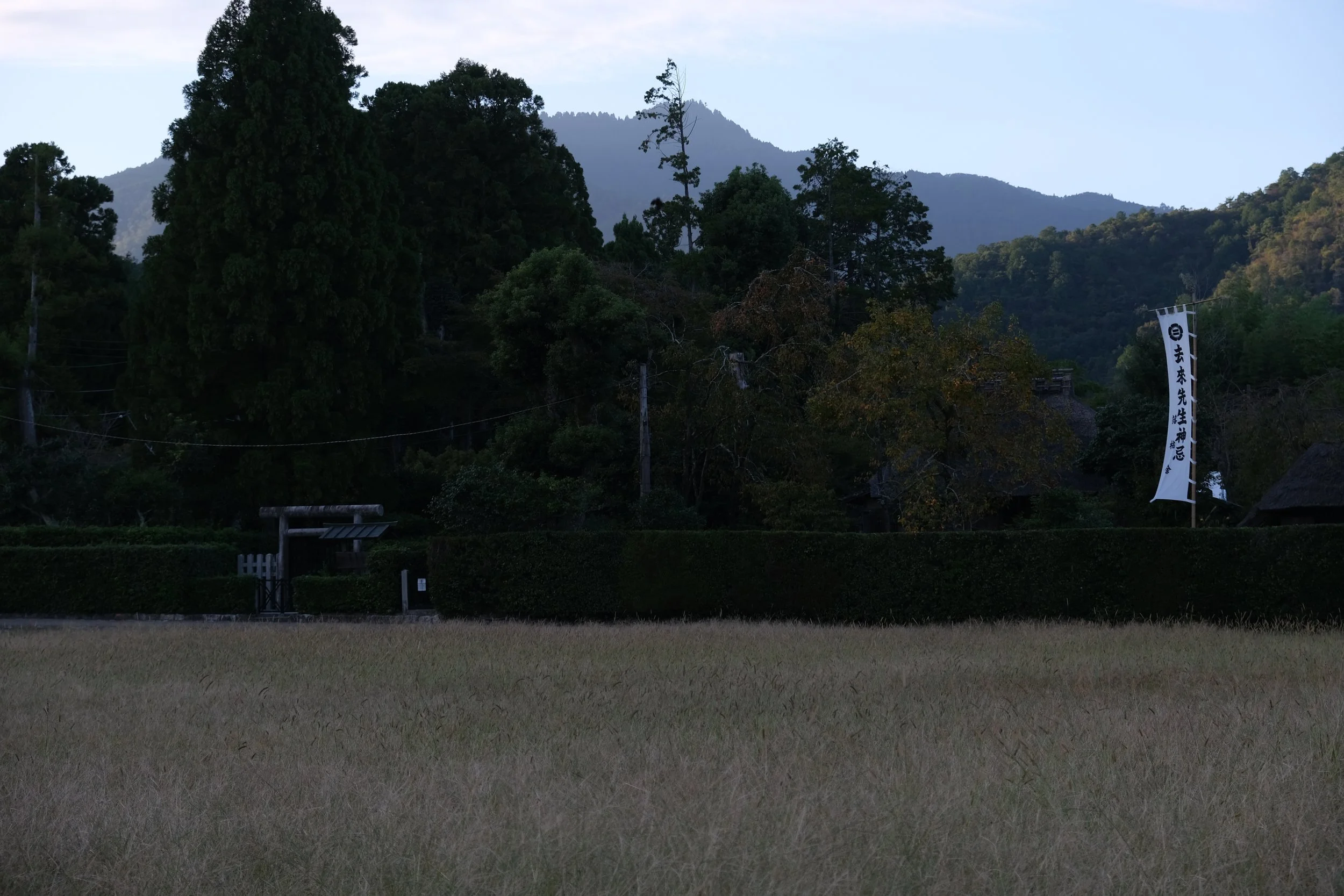 Fields of Japan