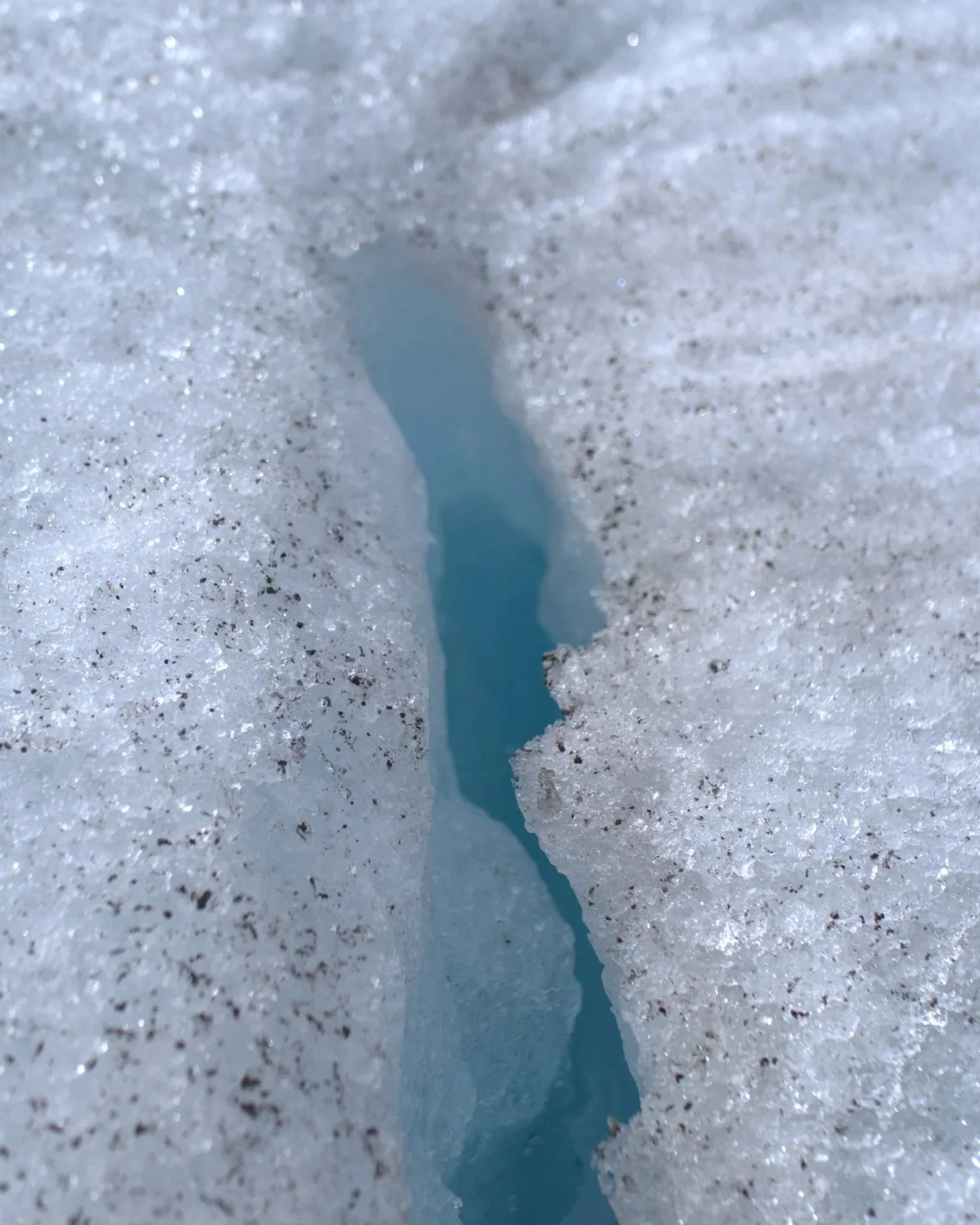Crevace