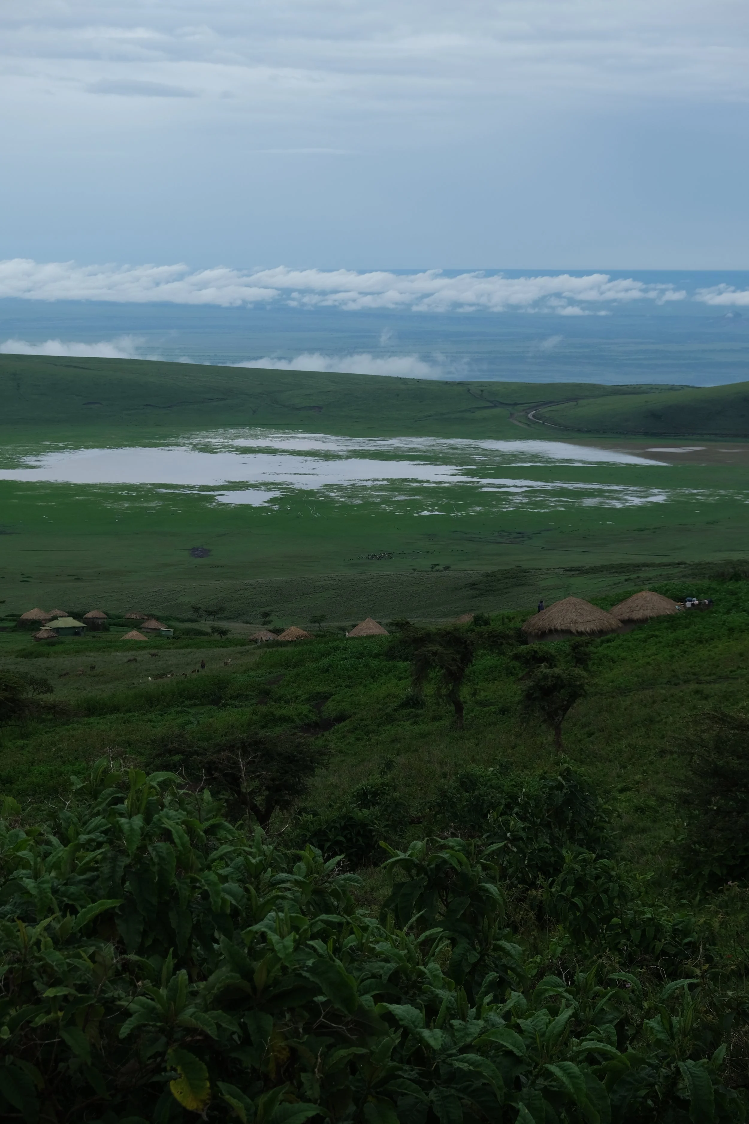 DSCF2236.JPG