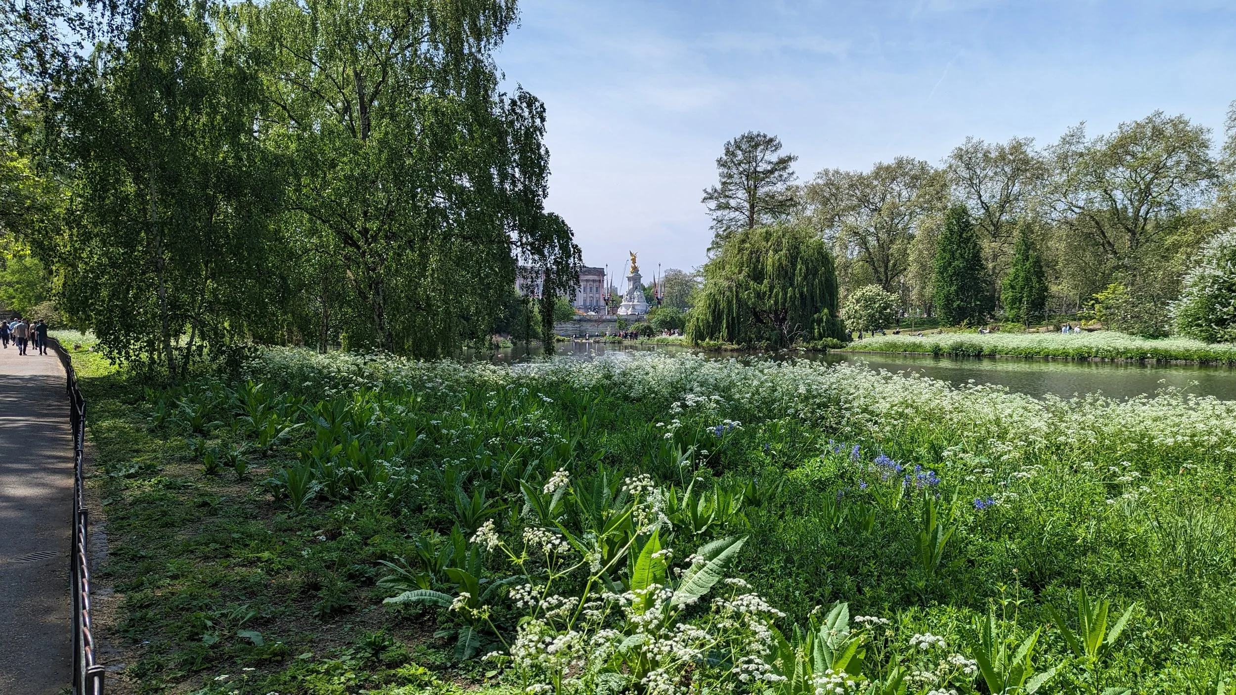 Buckingham in May