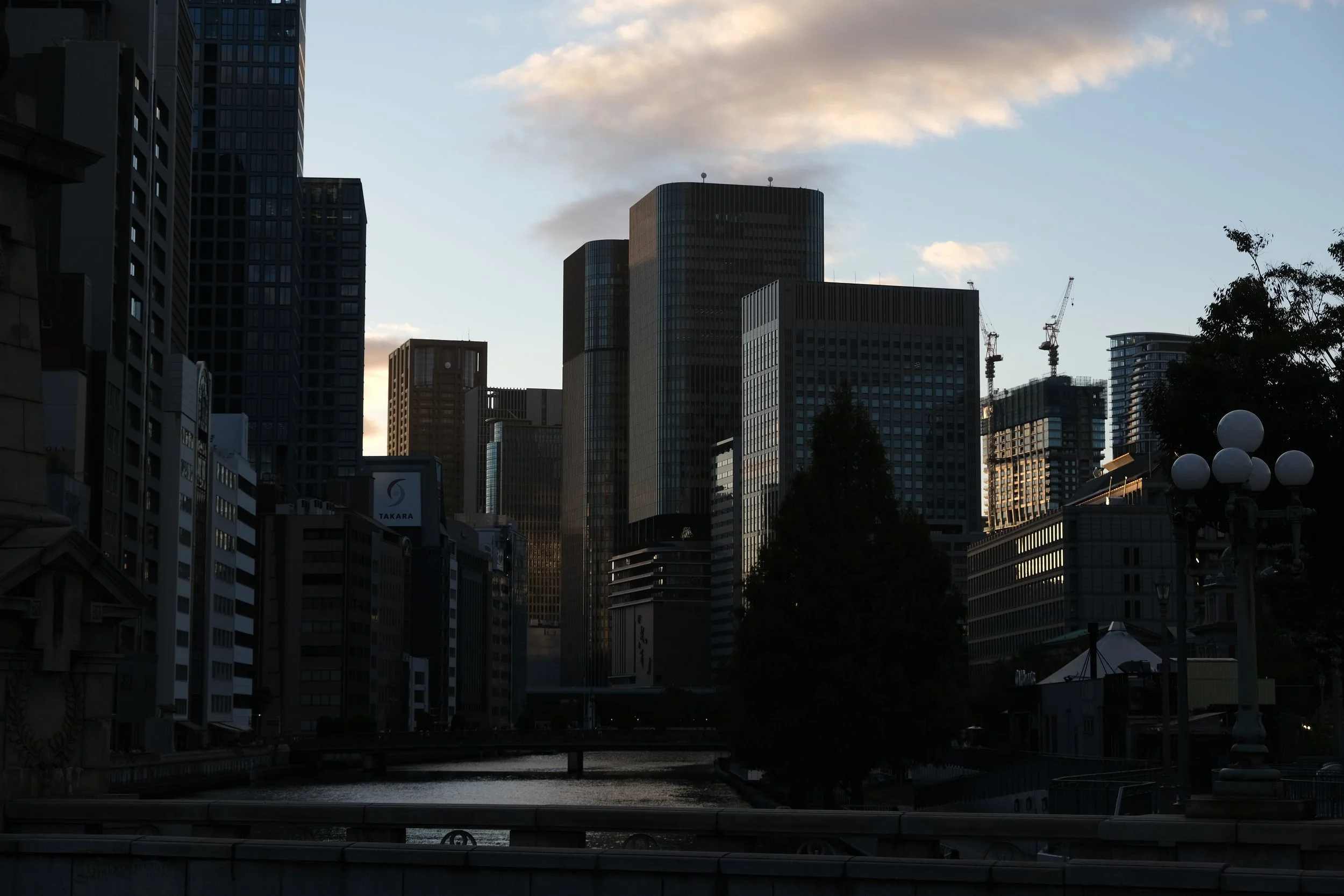 City Dreams