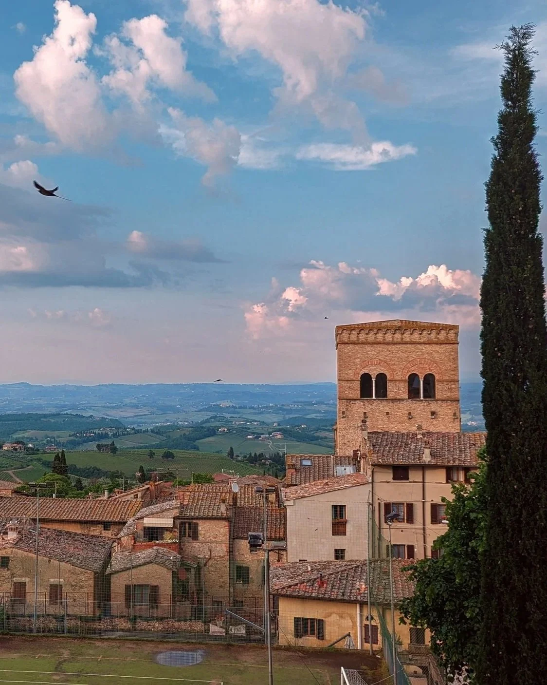 Terre silenziose