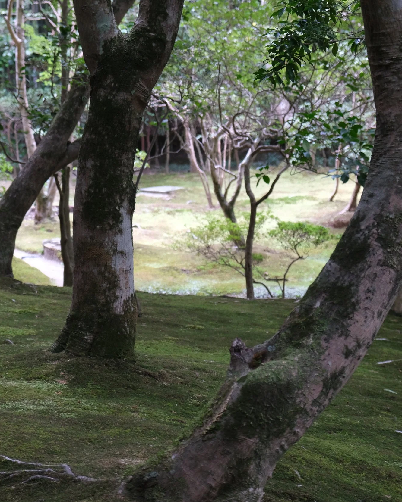 DSCF0173.png