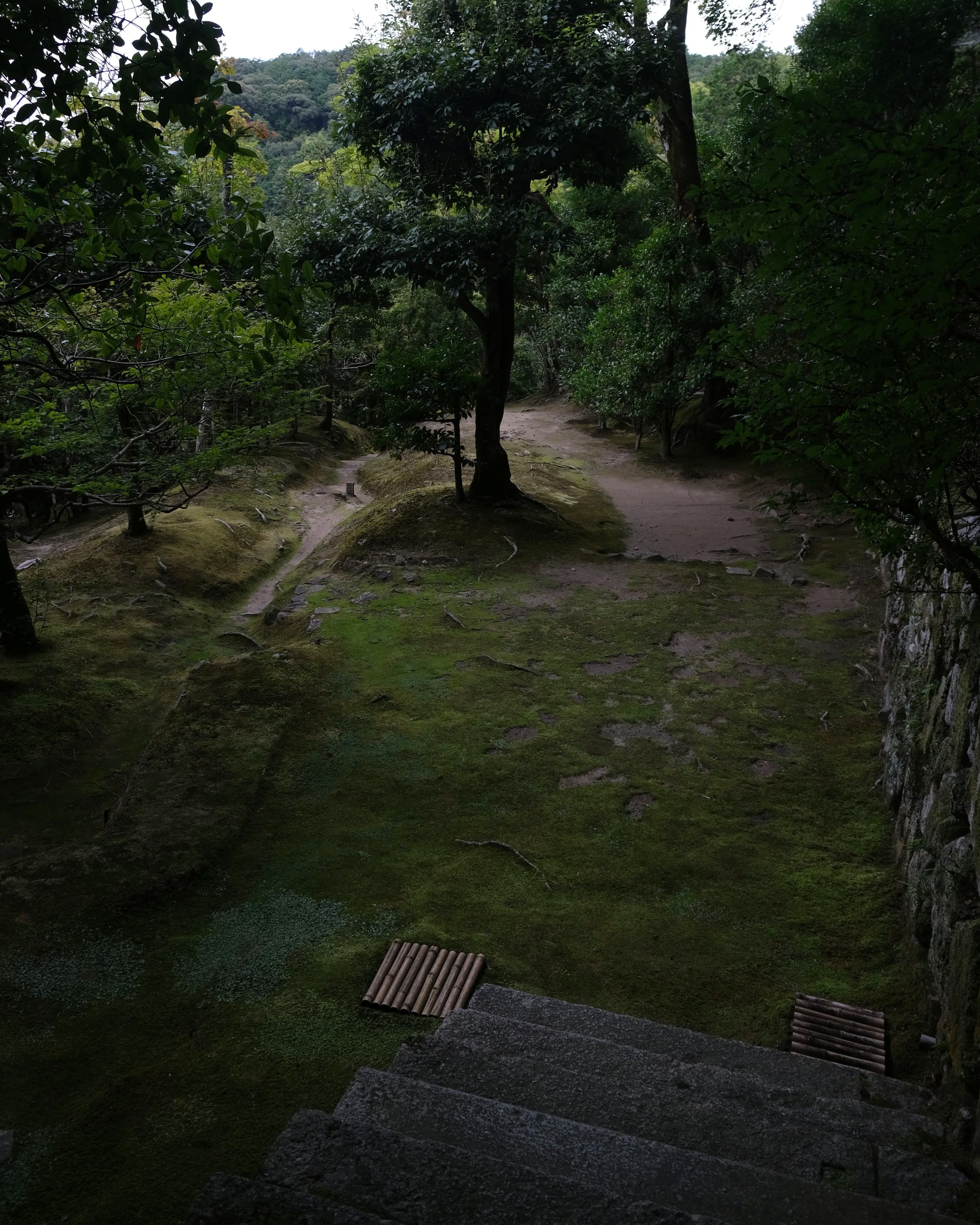 DSCF0168.png