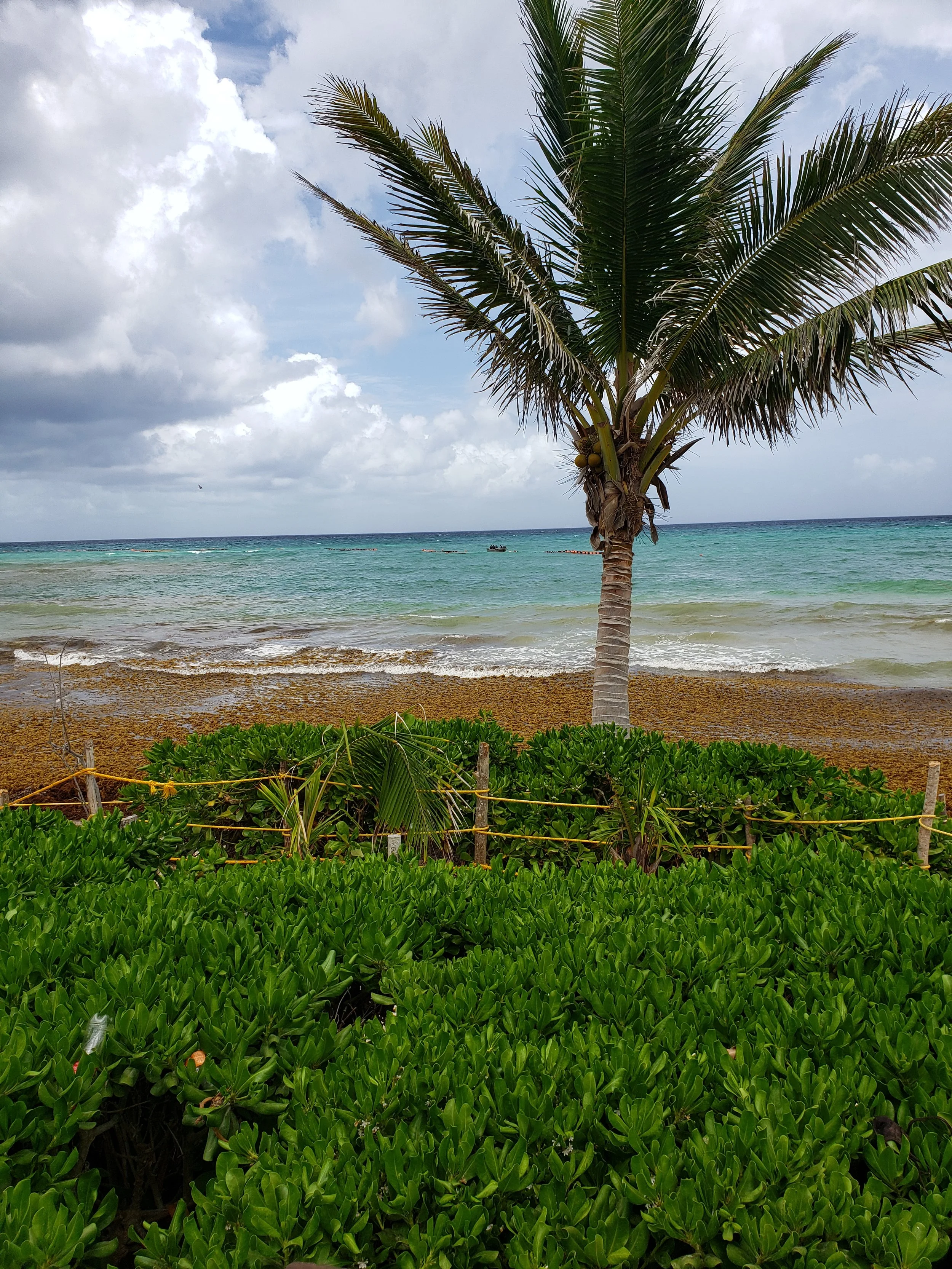 the beach