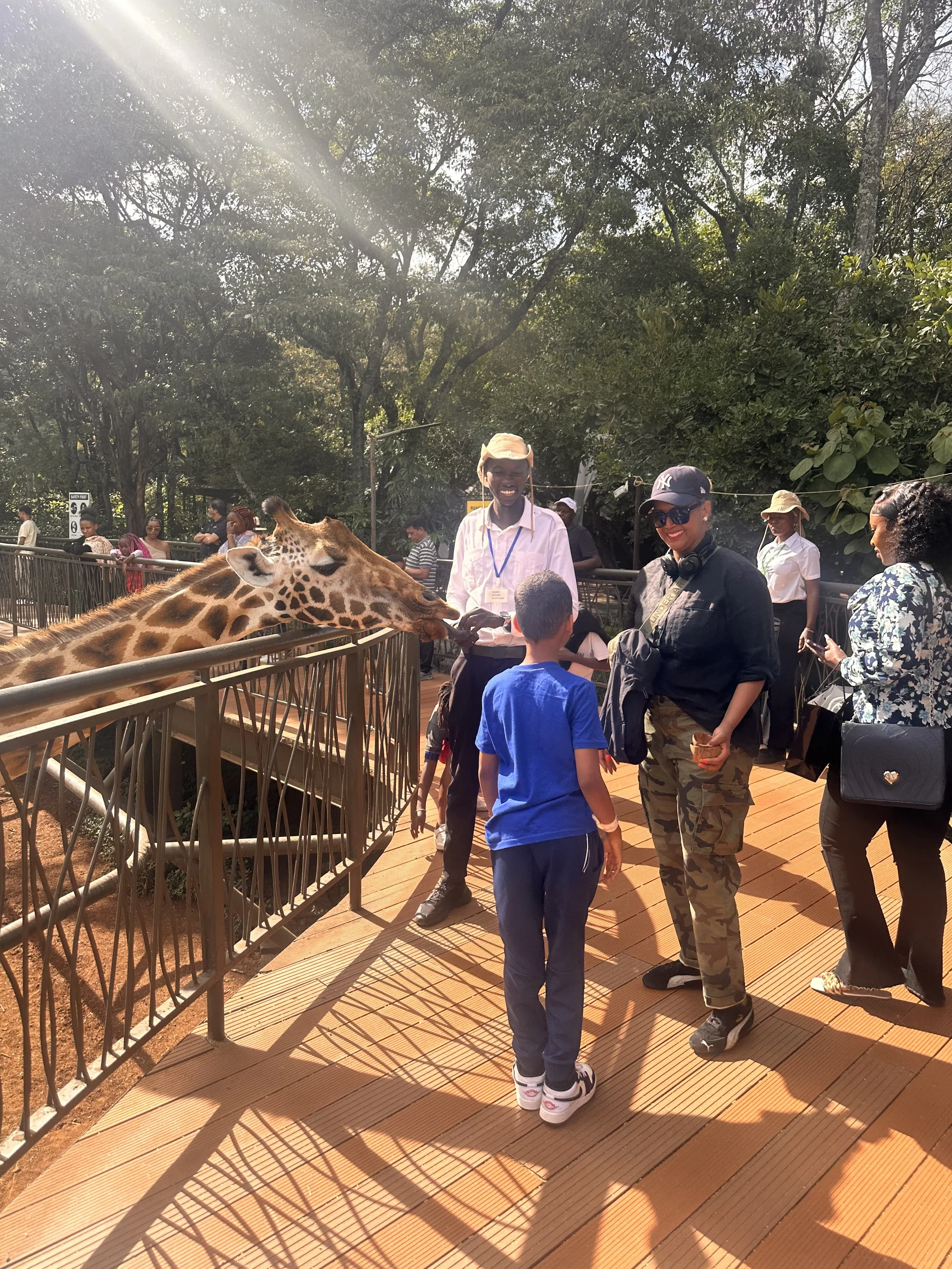 People at a zoo observing a giraffe from a wooden platform, with sunlight filtering through trees in the background.