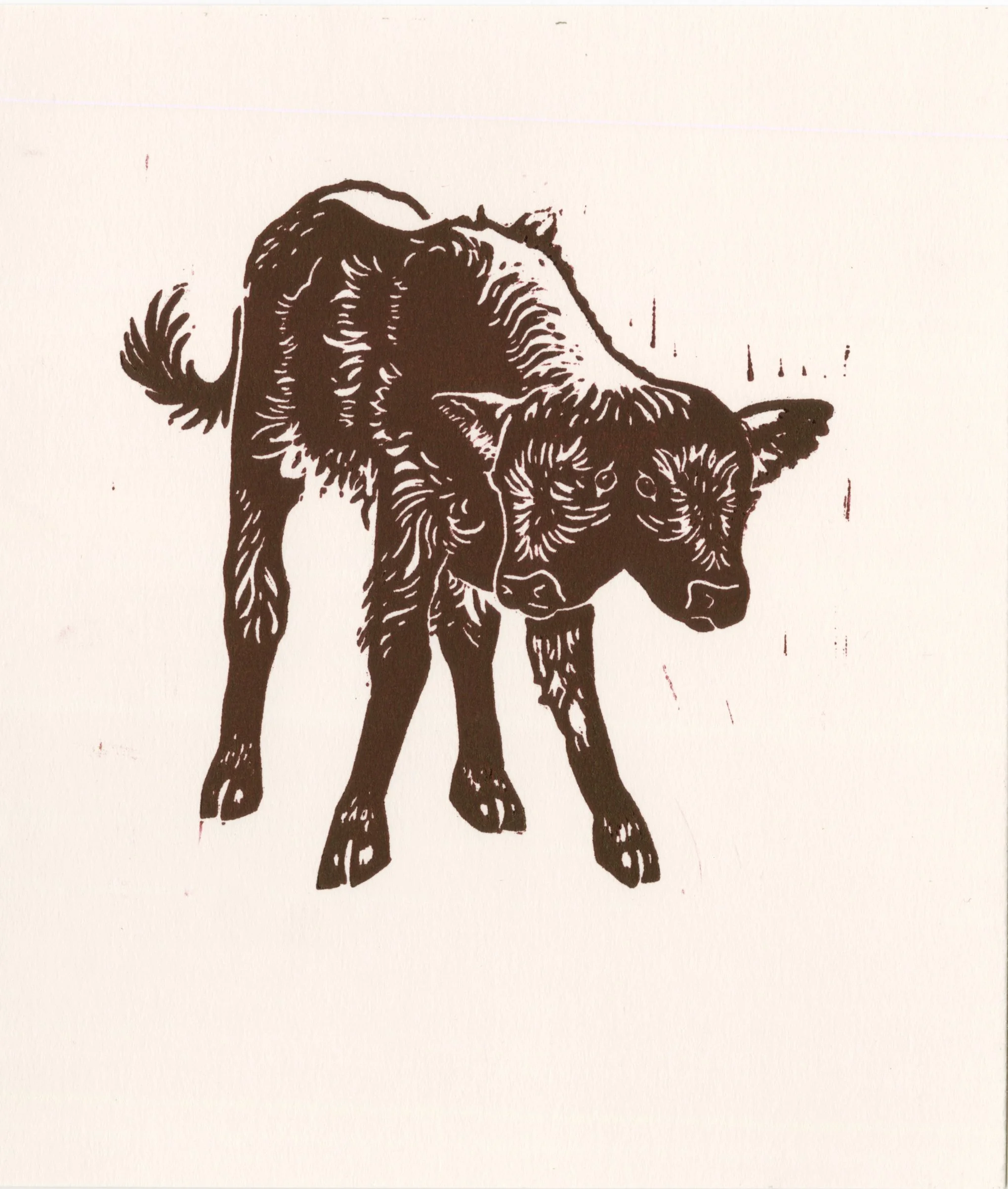 Two- Headed Calf. Linoleum relief, edition of 20, 8x10", 2024. 