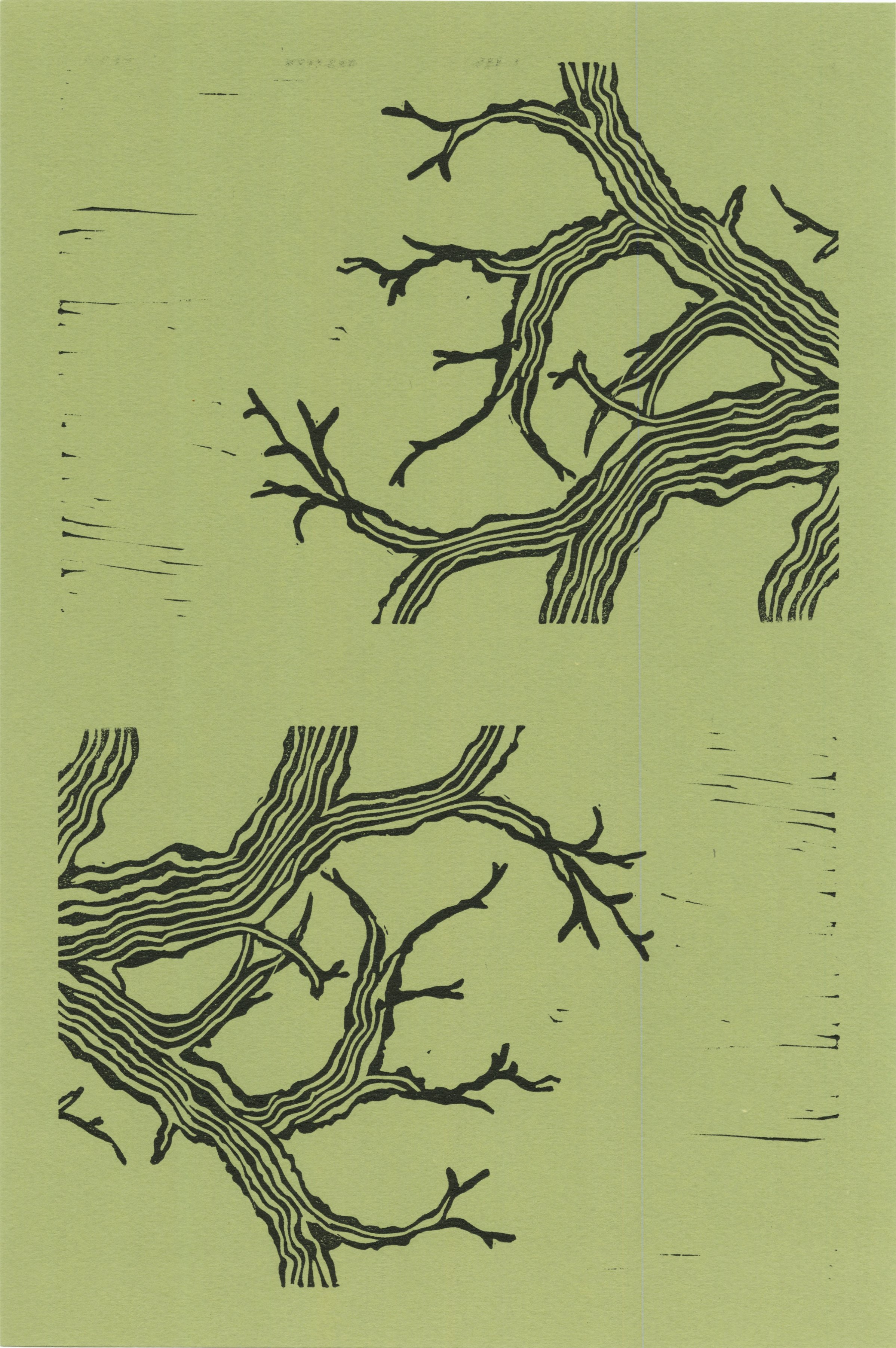 Tree Branches. Linoleum relief, 8x14", 2023. 