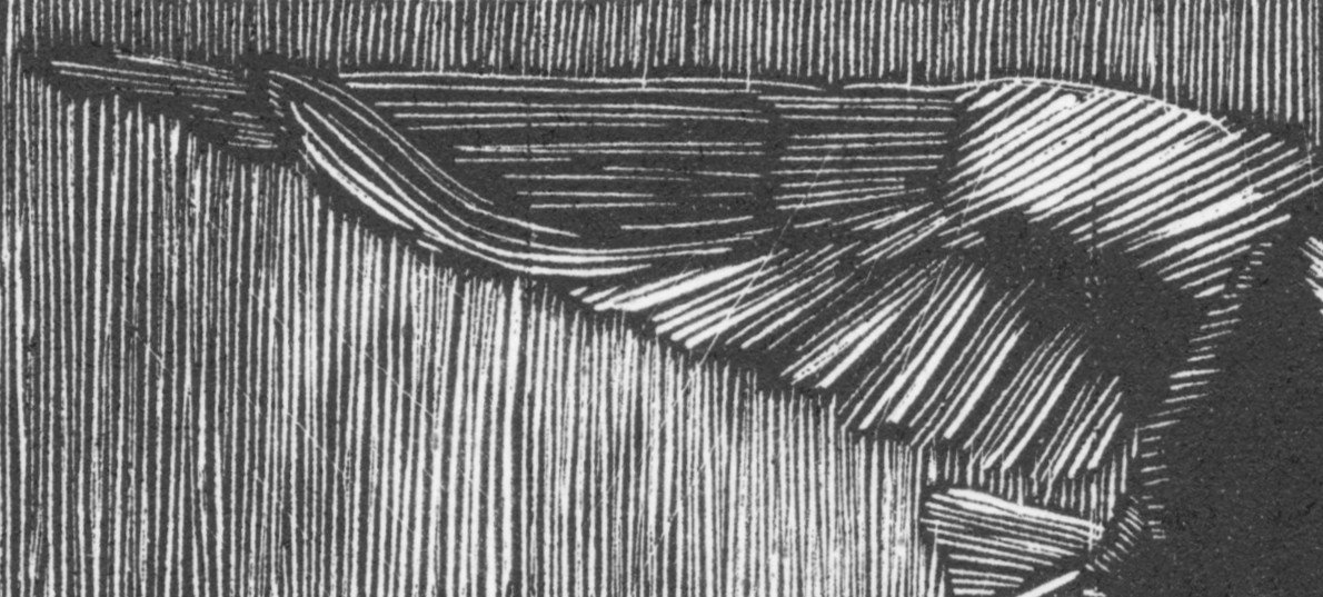 cropped blackbird 1.jpg