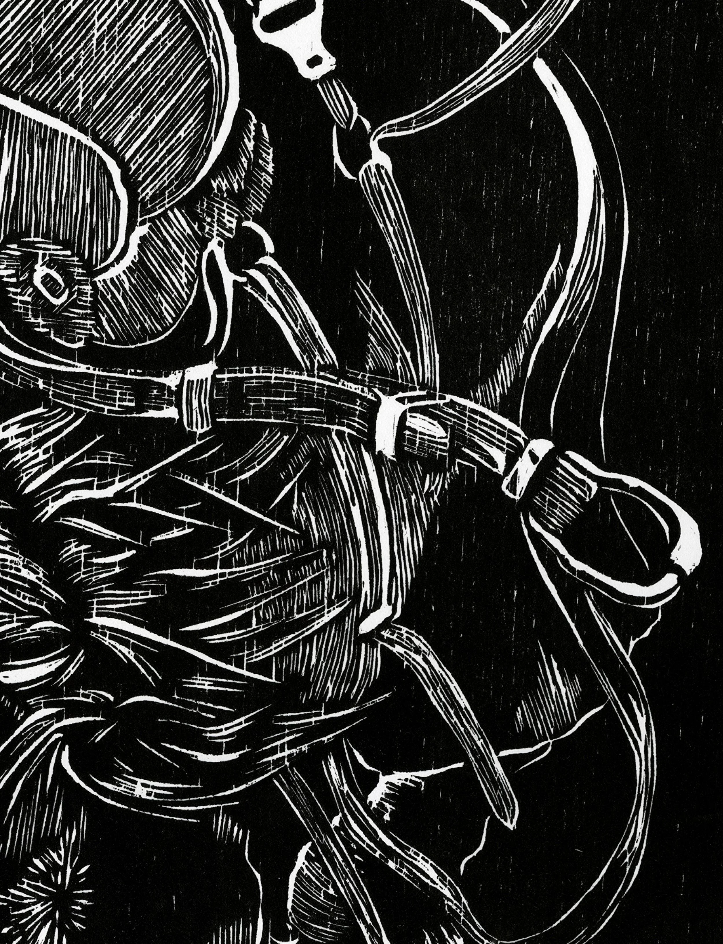 cropped horse.jpg