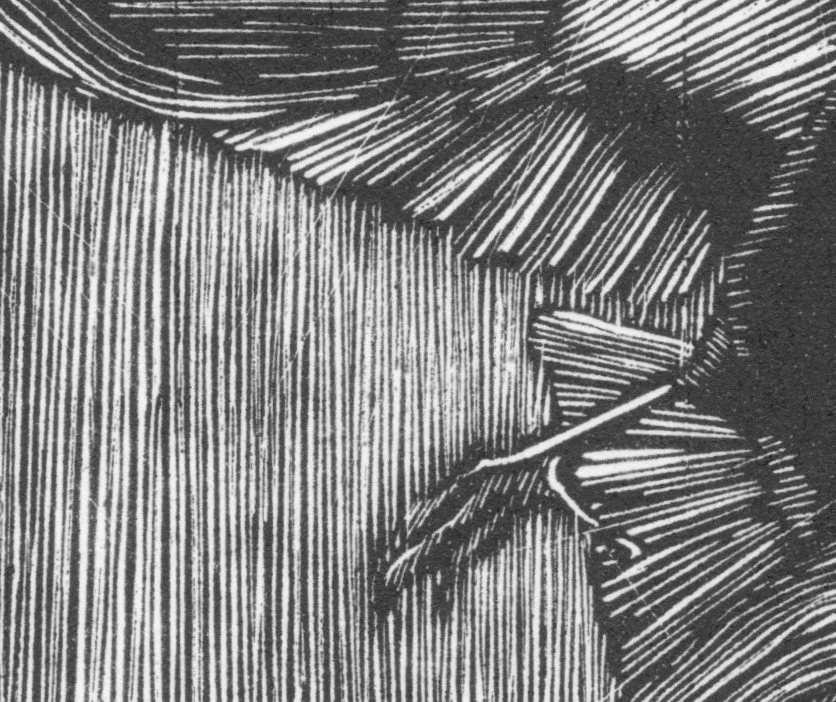 cropped blackbird.jpg