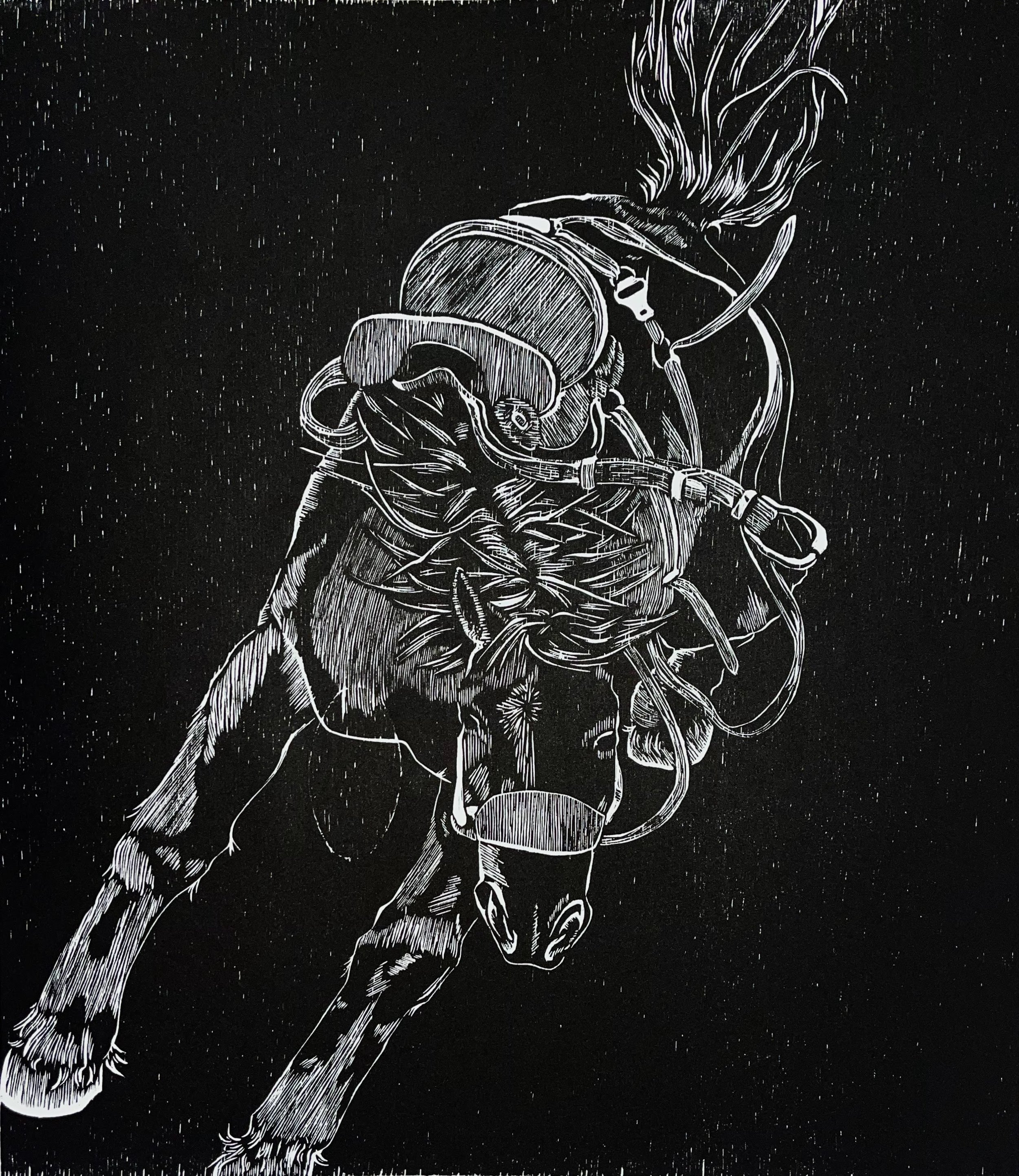 Black Horse I. 12x14" woodcut print, edition of 8, 2026. 