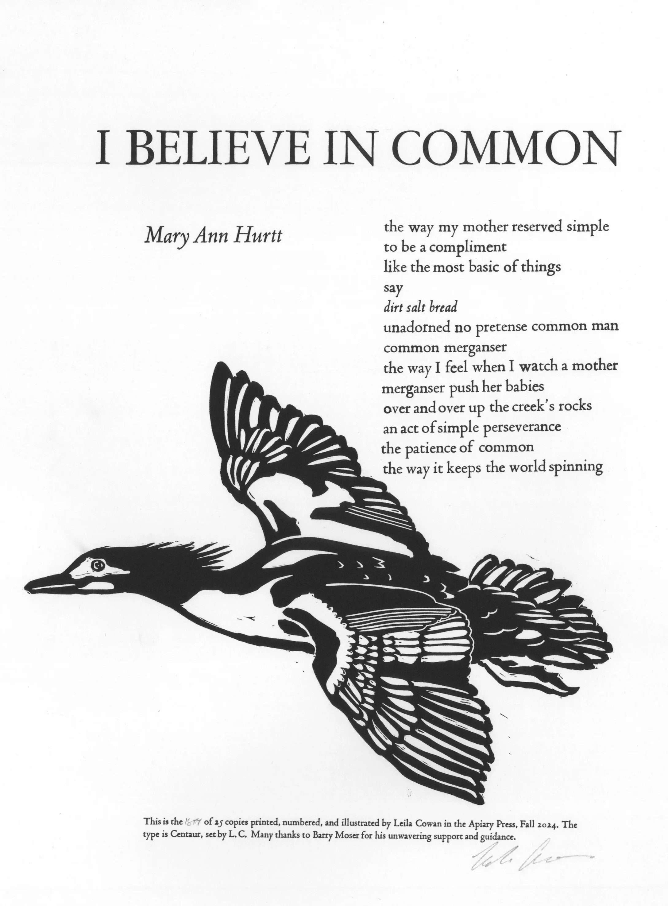 Common_Merganser_Broadside.jpg