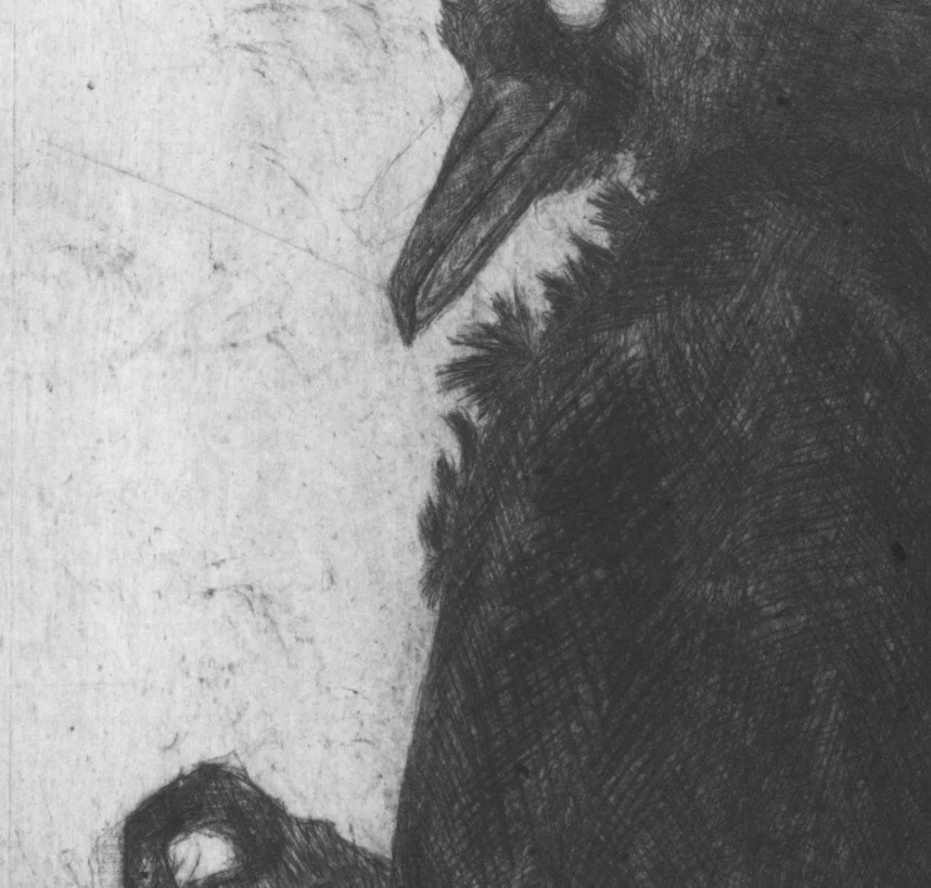 cropped dead crow 1.jpg