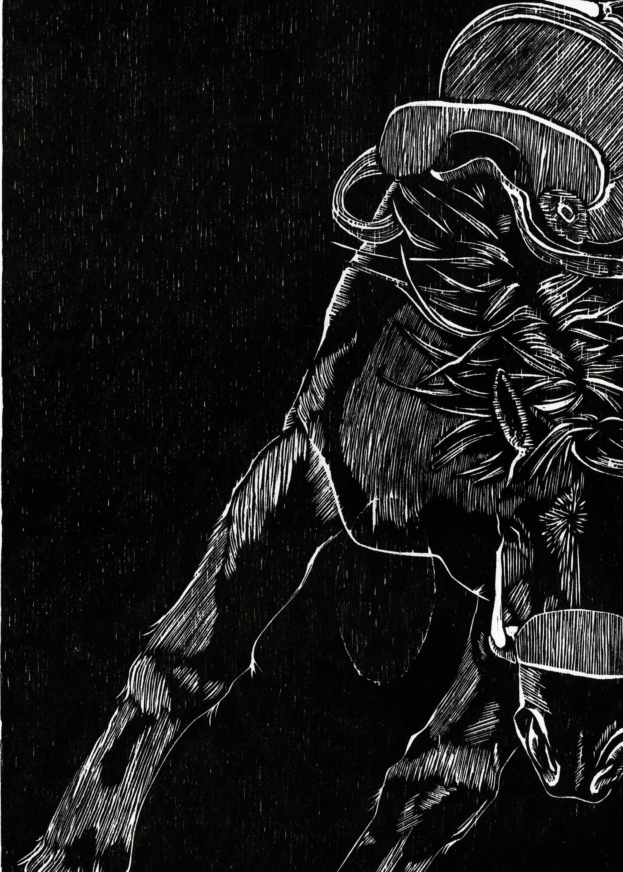 cropped horse 1.jpg