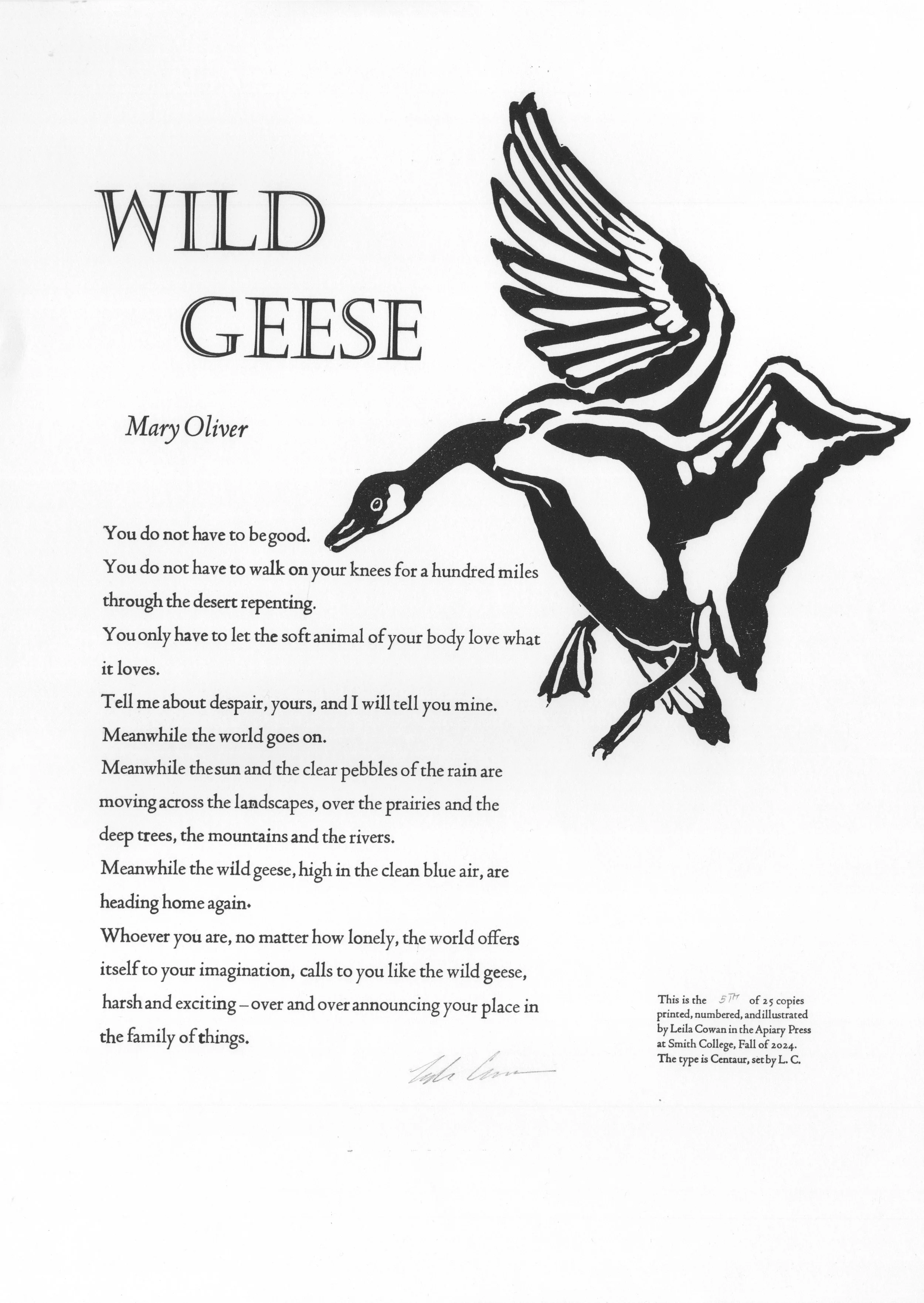Wild Geese. Letterpress with linoleum relief illustration, 18x24", 2024.
