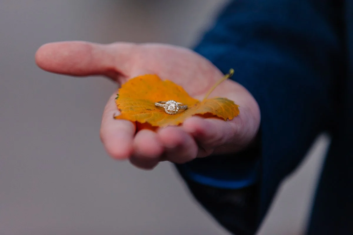 The engagement ring on a yellow Fall leaf at Niagara falls