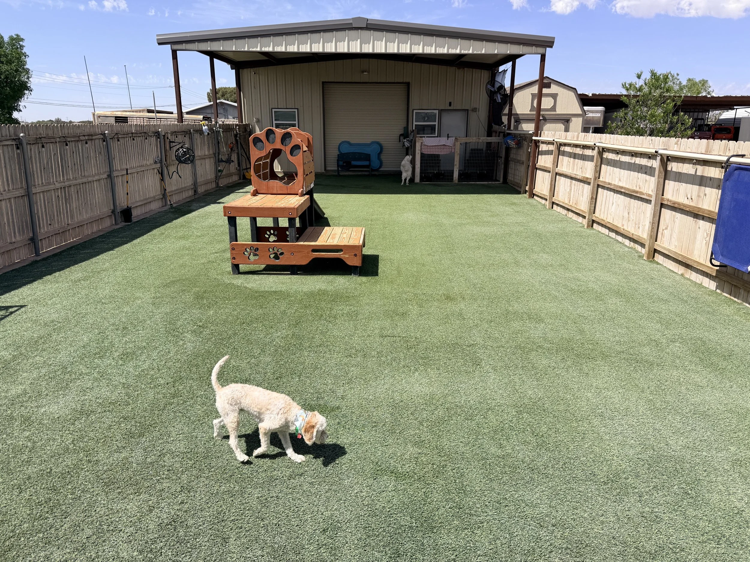 Backyard with artificial grass, wooden fence, play structure, dog, and a house with a shed in the background.