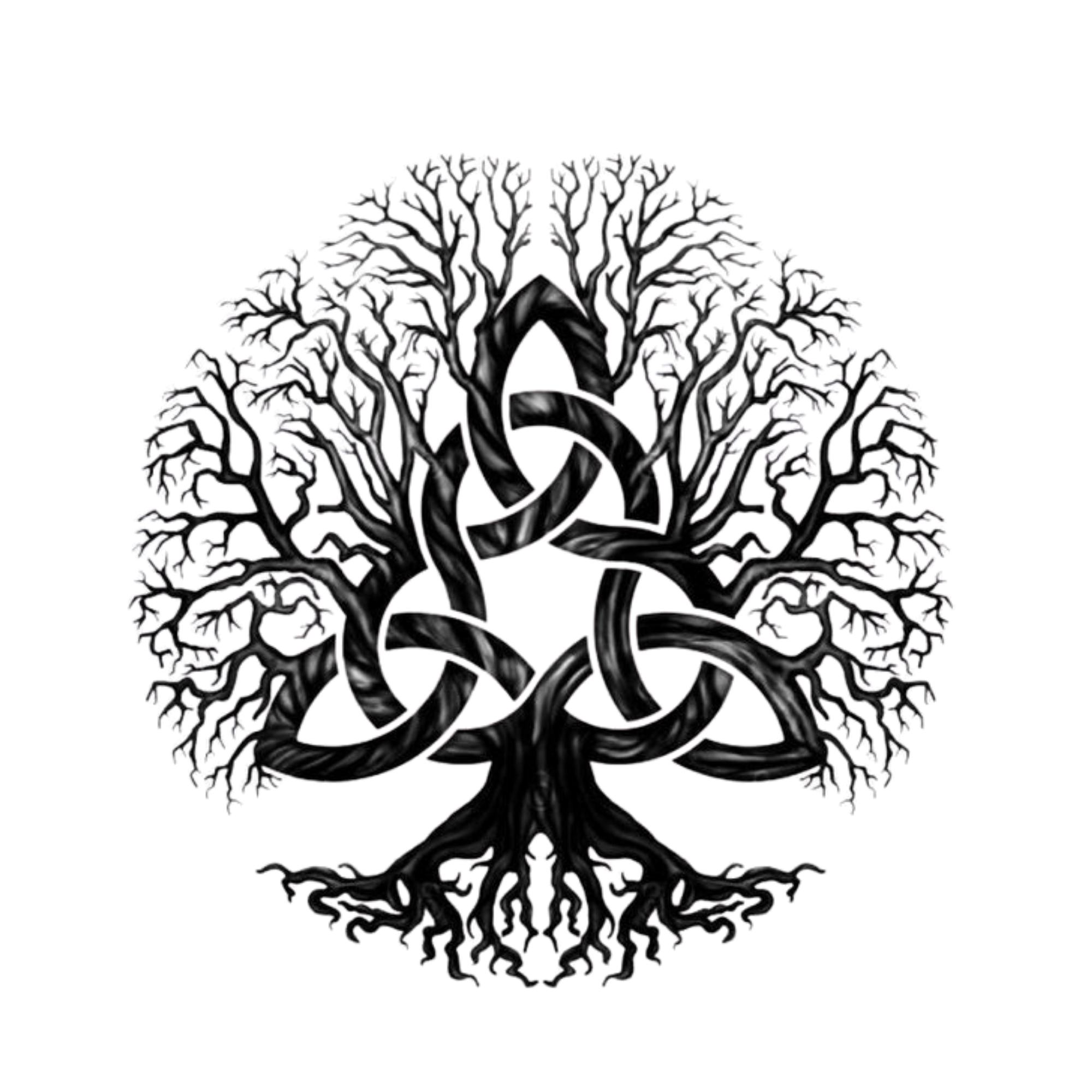 A black metallic tree with twisted roots and branches forming a circle, with a large black number six intertwined in the middle.