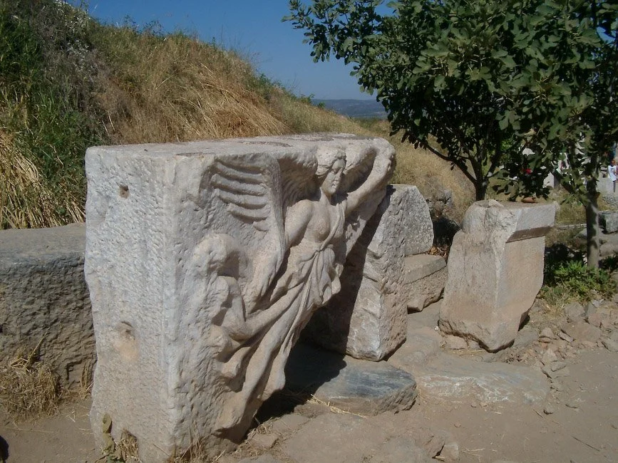 IMGP3340.jpg
