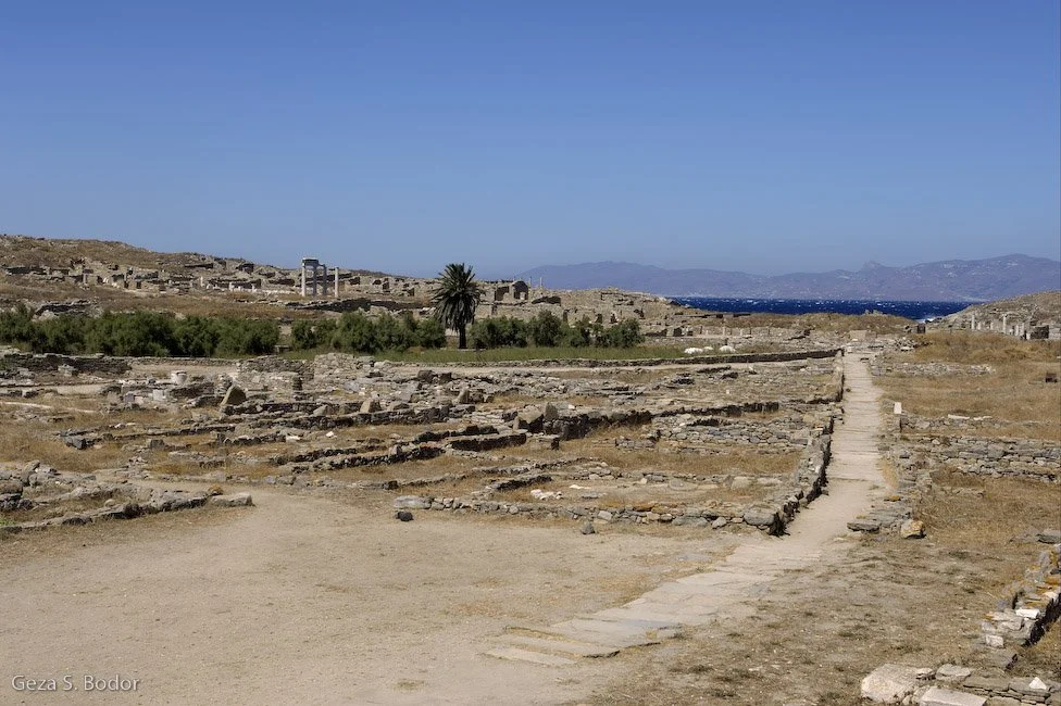 Athena_DSC0875.jpg