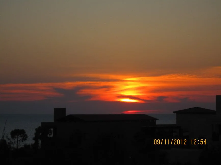 IMG_3925.jpg