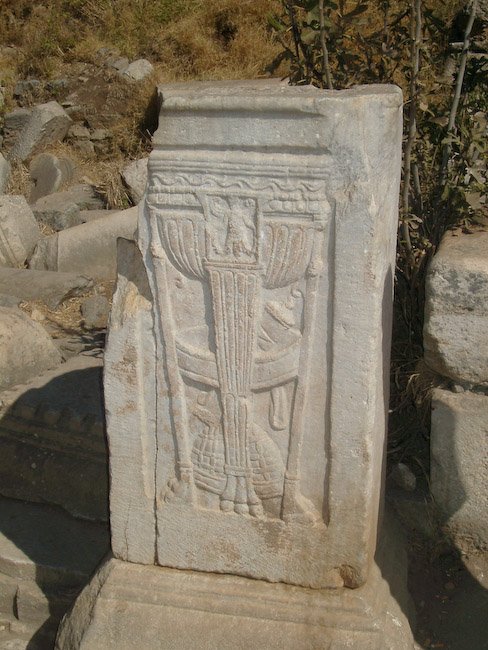 IMGP3336.jpg