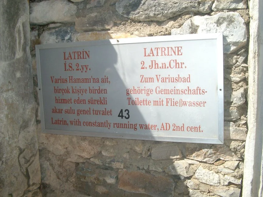 IMGP3356.jpg