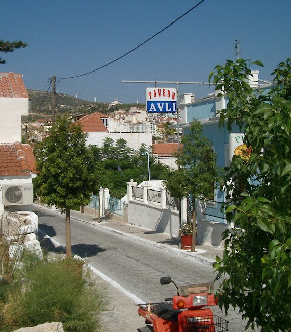 IMGP3589.jpg