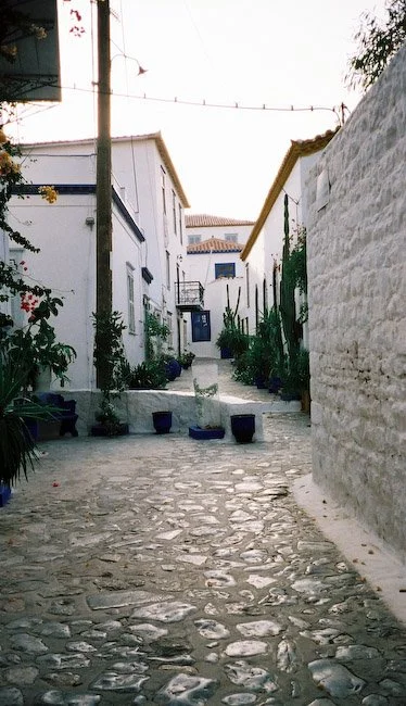 F1010018.jpg