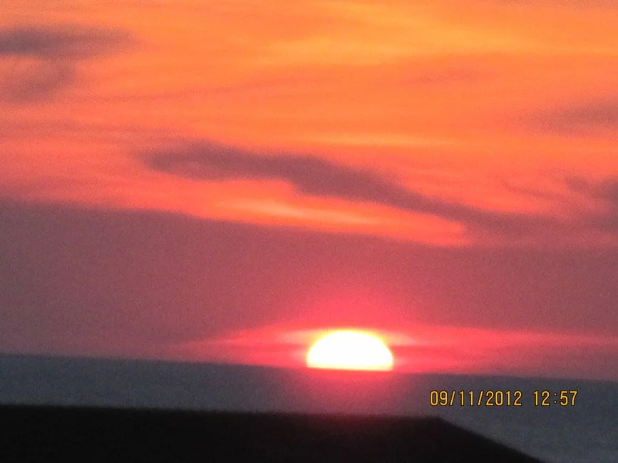 IMG_3934.jpg